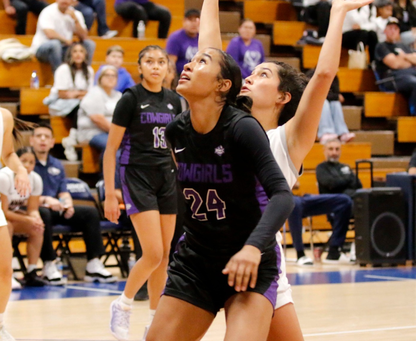 Johnson Goes for Rebound