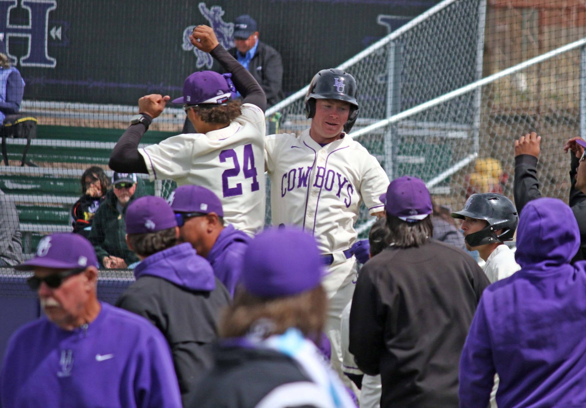 Homer Celly BSb 2026