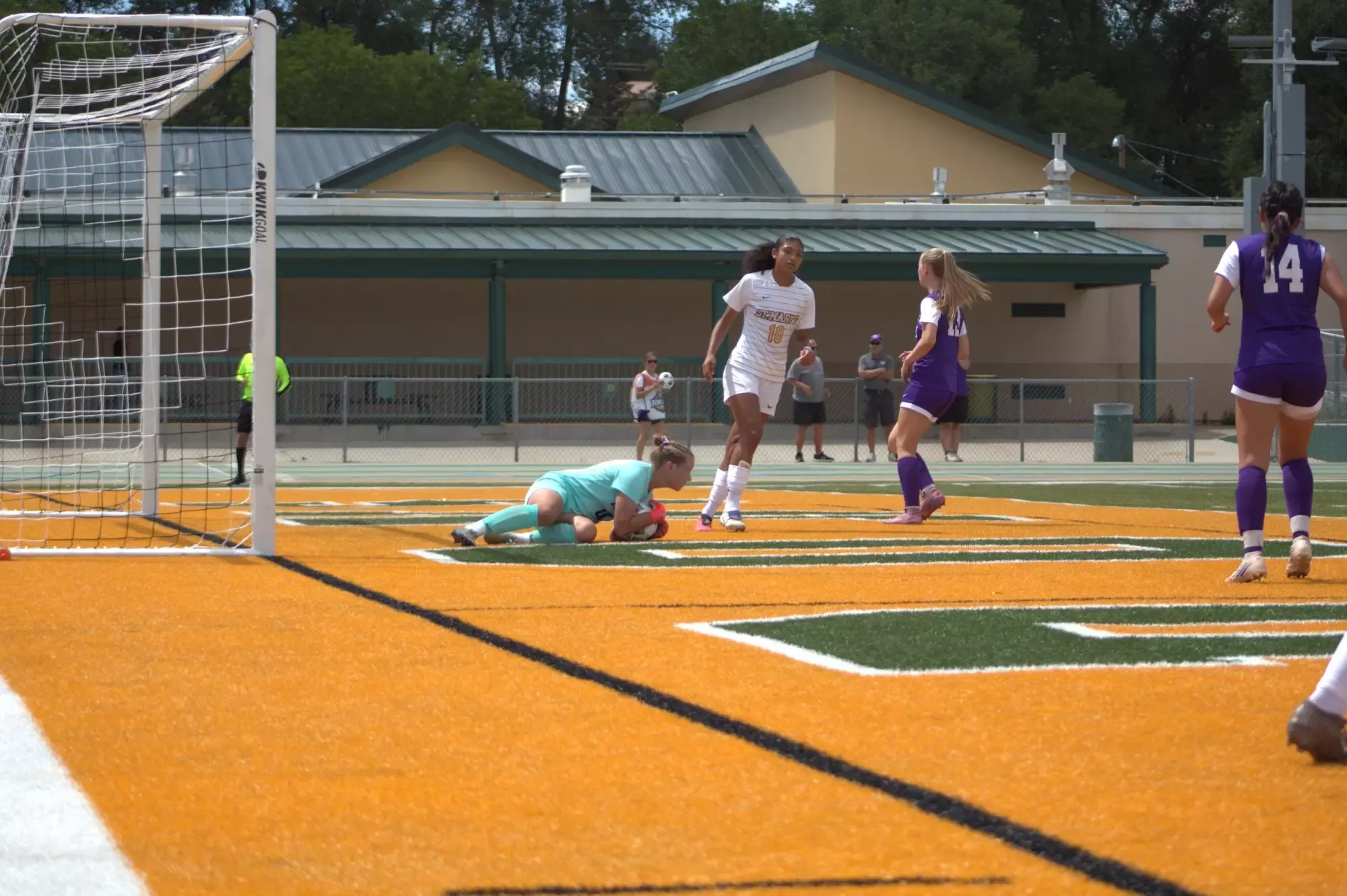 SAVE by Driscoll