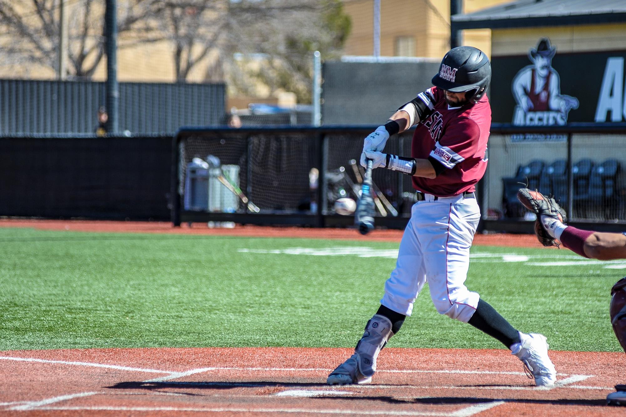 Braden Williams 2019 Baseball New Mexico State University Athletics