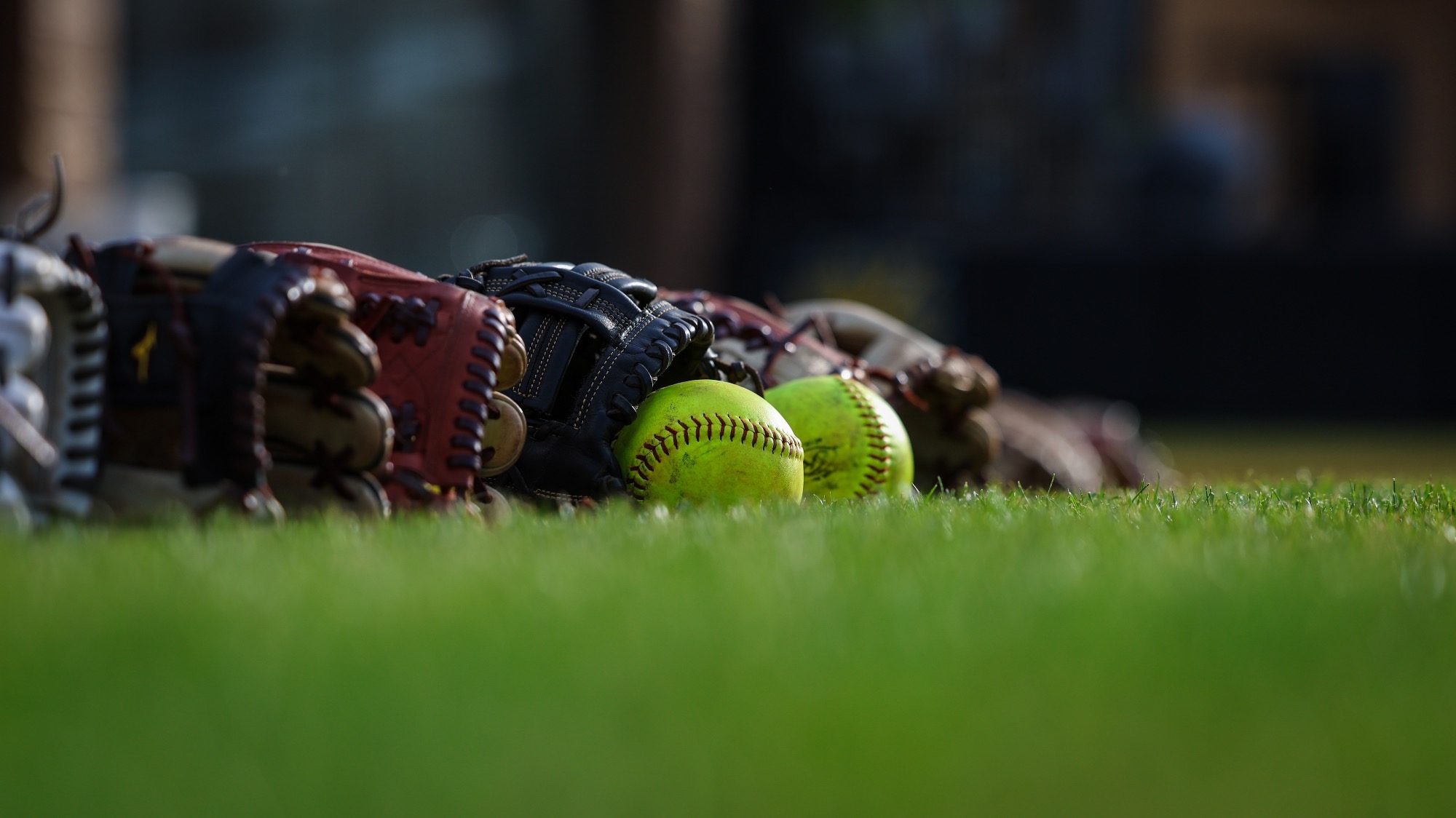 Softball Gloves And Balls