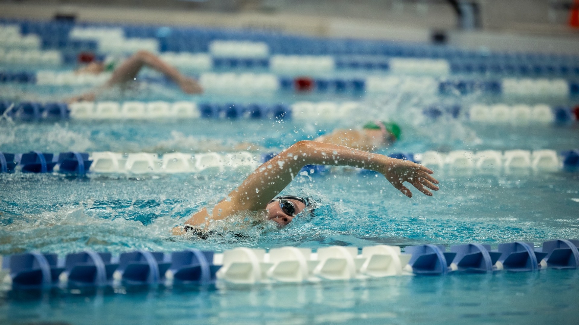 NM State swim falls to Norther Colorado on the road