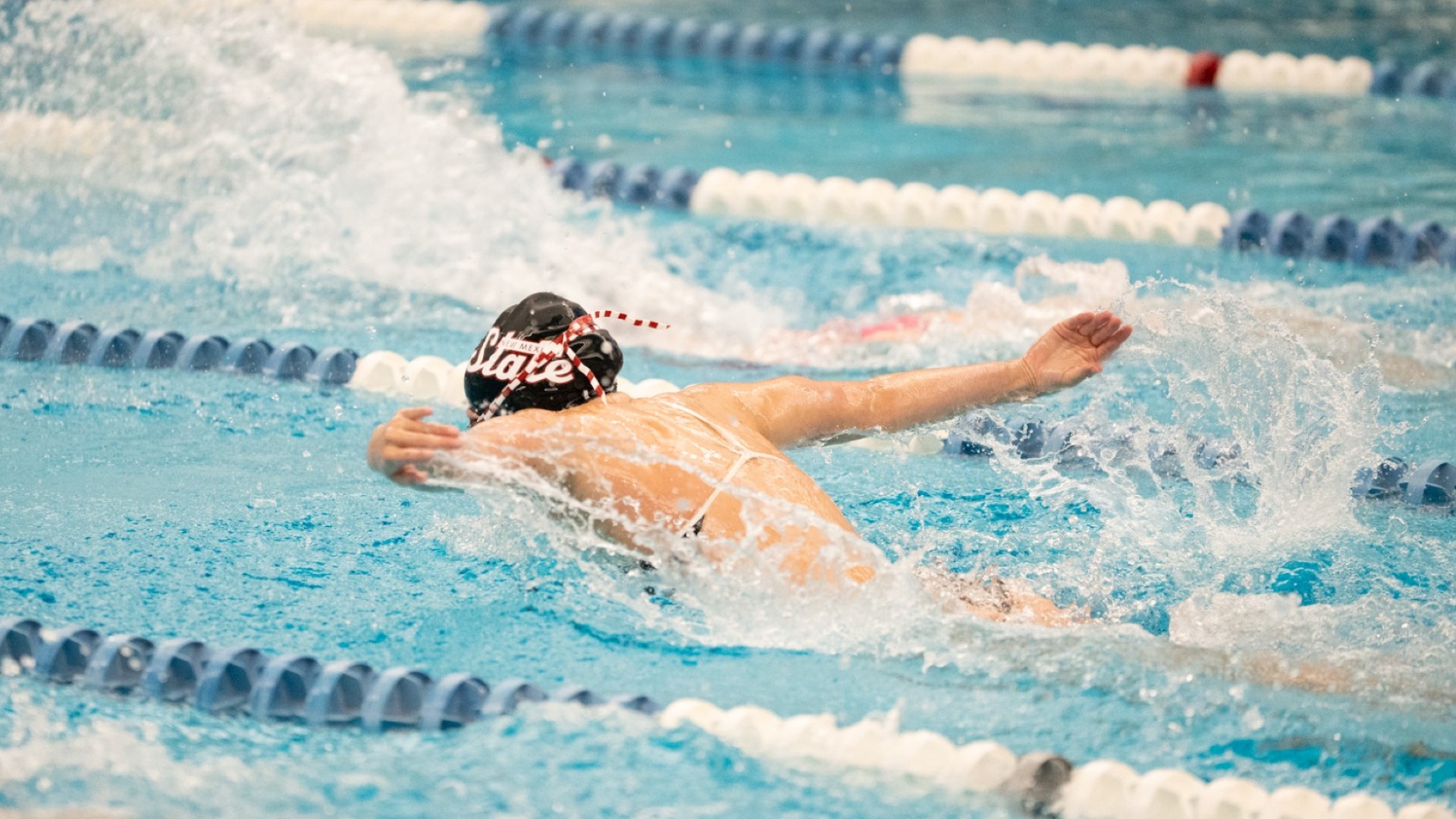 NM State swim & dive fall to AFA
