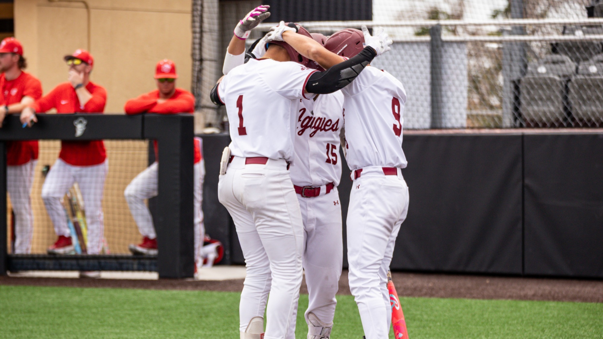 Baseball celebrates home run