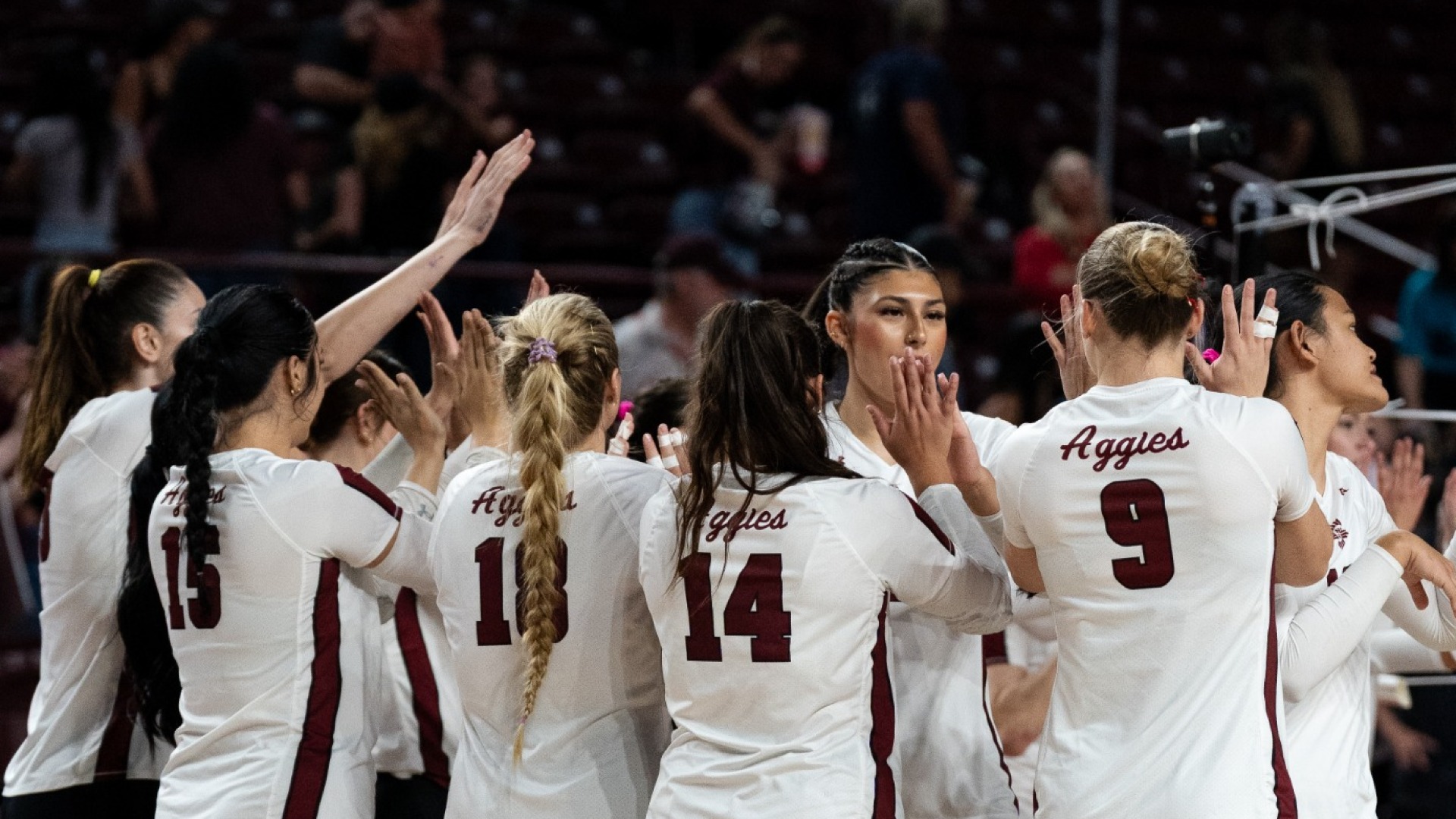 NM State Volleyball Schedule Release