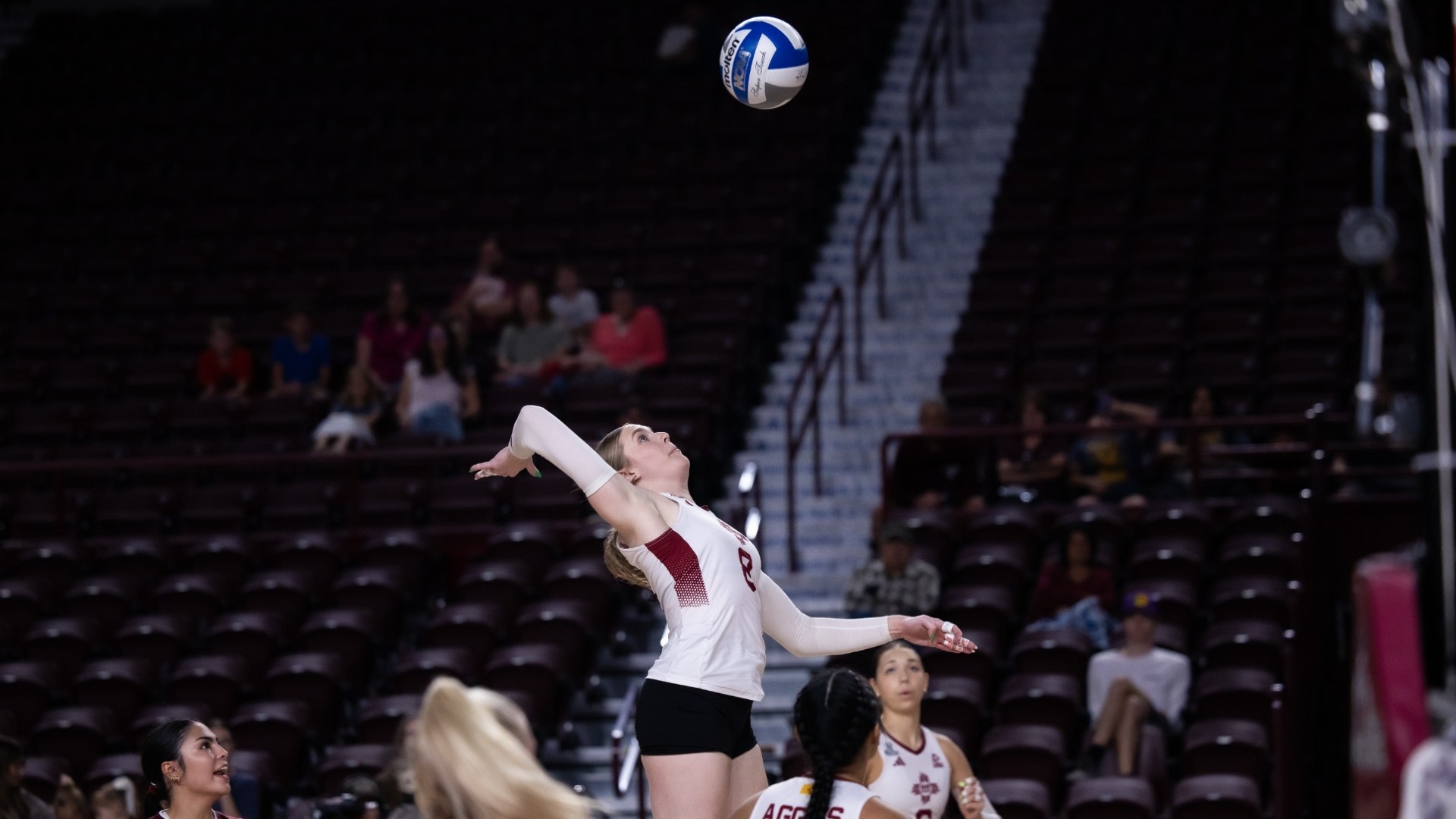 Ashley Herman goes for a kill