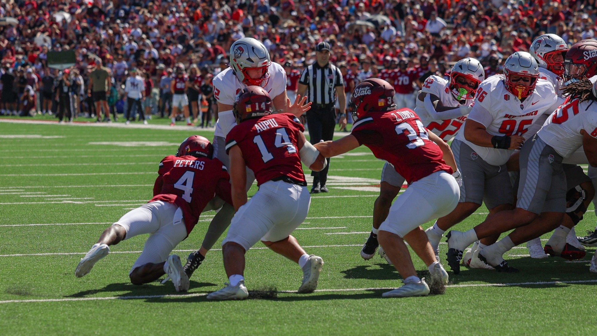 Aggie Defense
