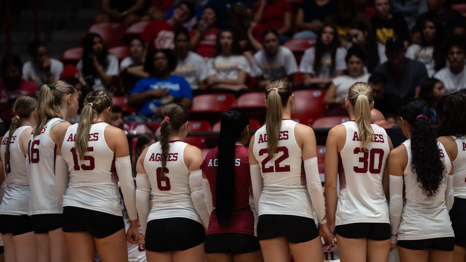 Aggies fall to rival Lobos