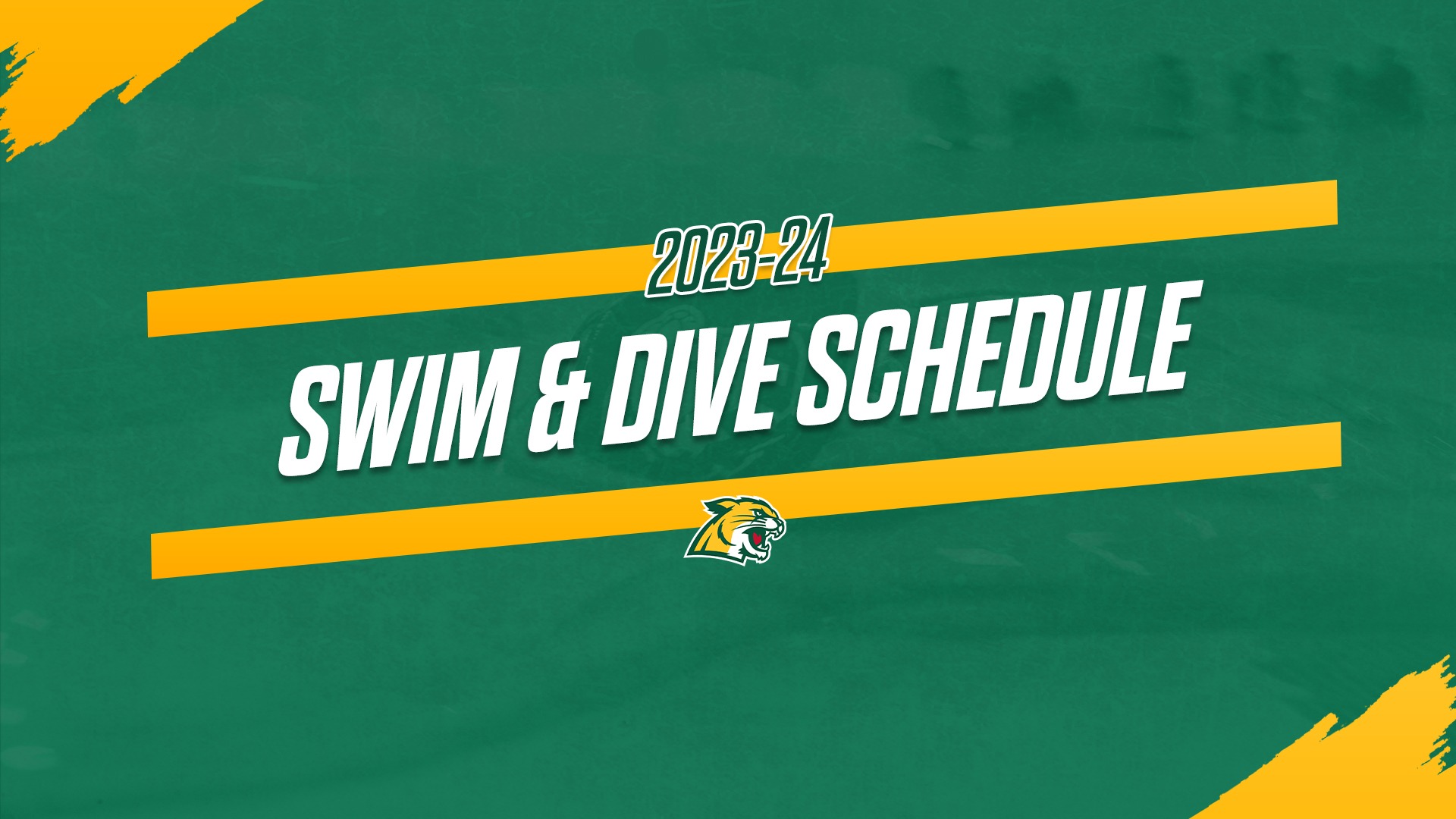 Swim & Dive Announces Meets for 202324 Northern Michigan University