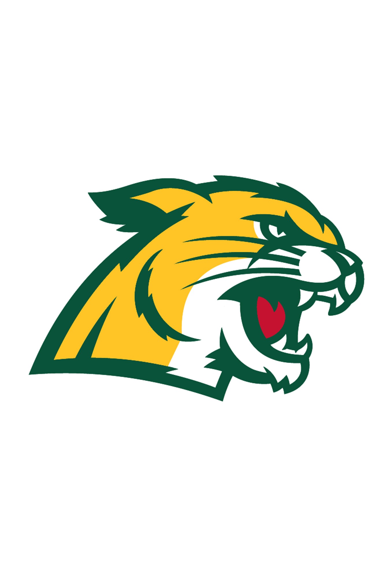 NMU Wildcat Logo Headshot