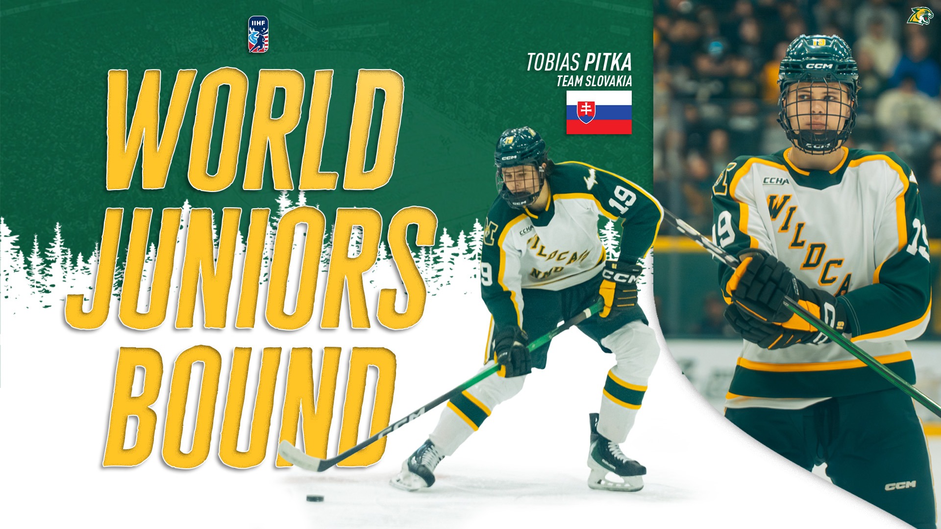 Tobias Pitka - WJC