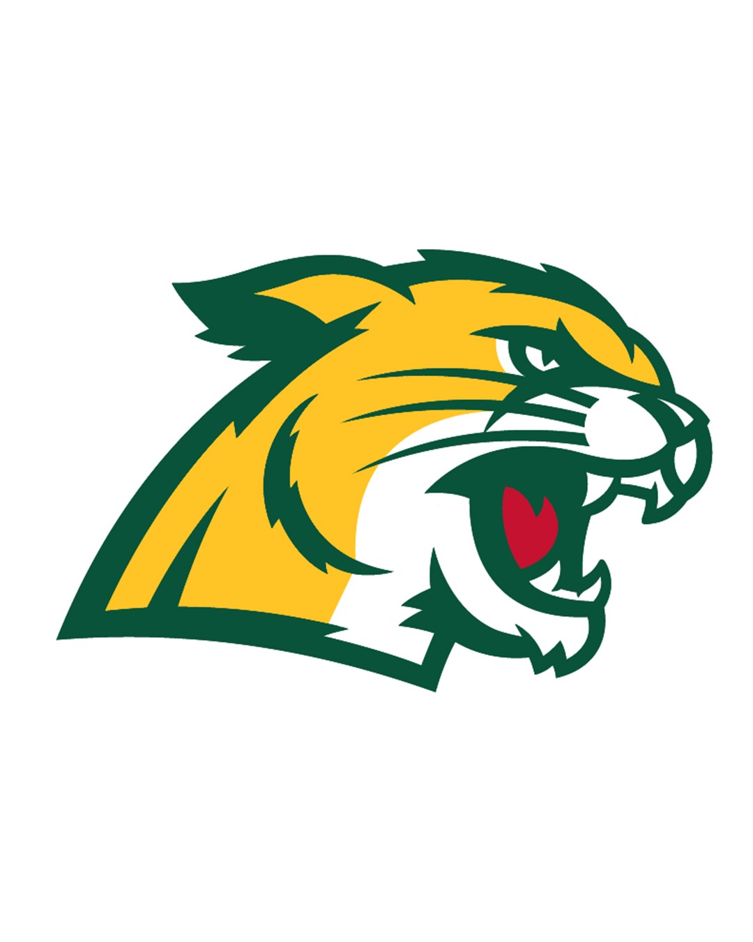 Wildcat Stock Headshot