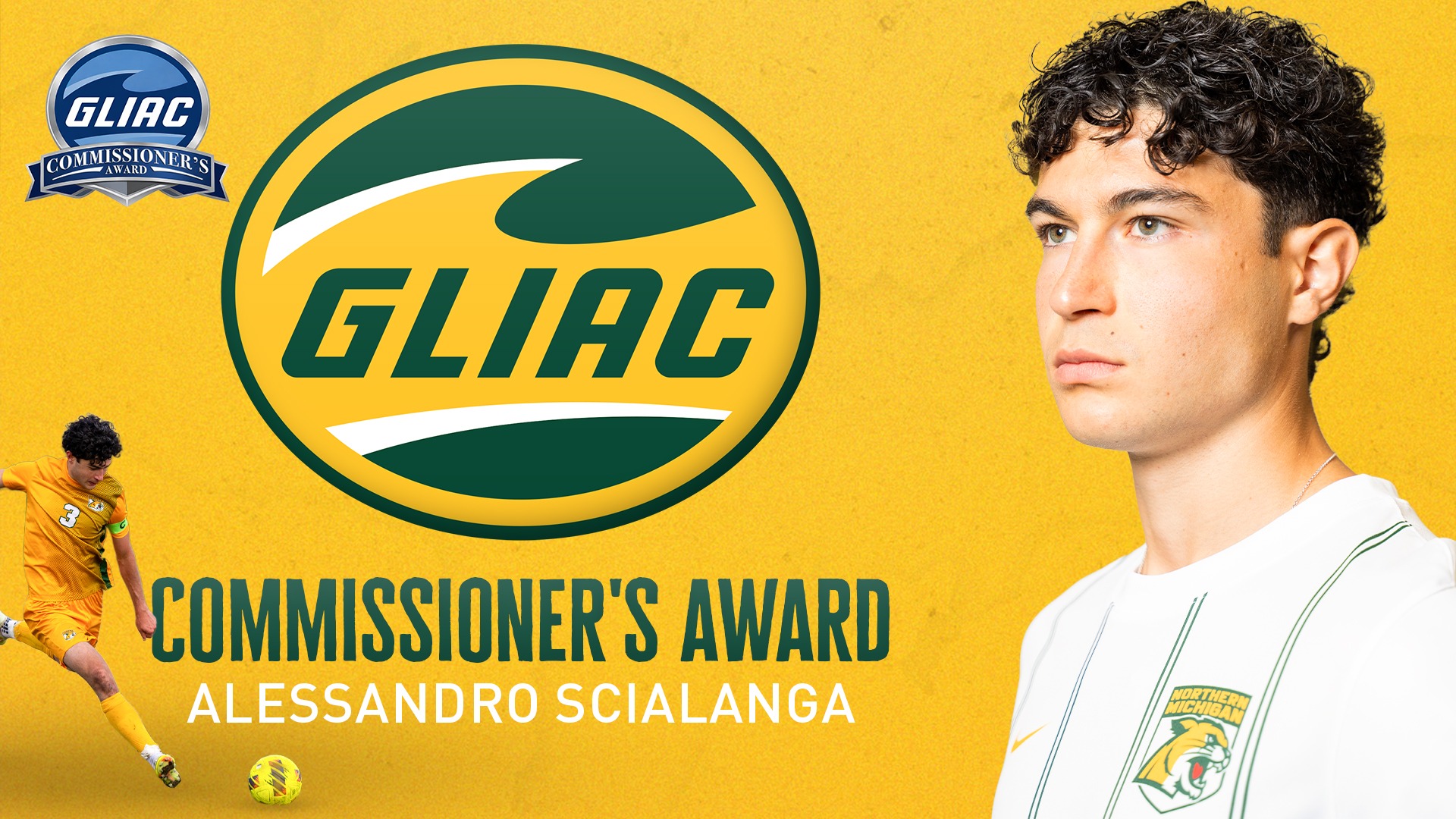 Ale new commissioner's award