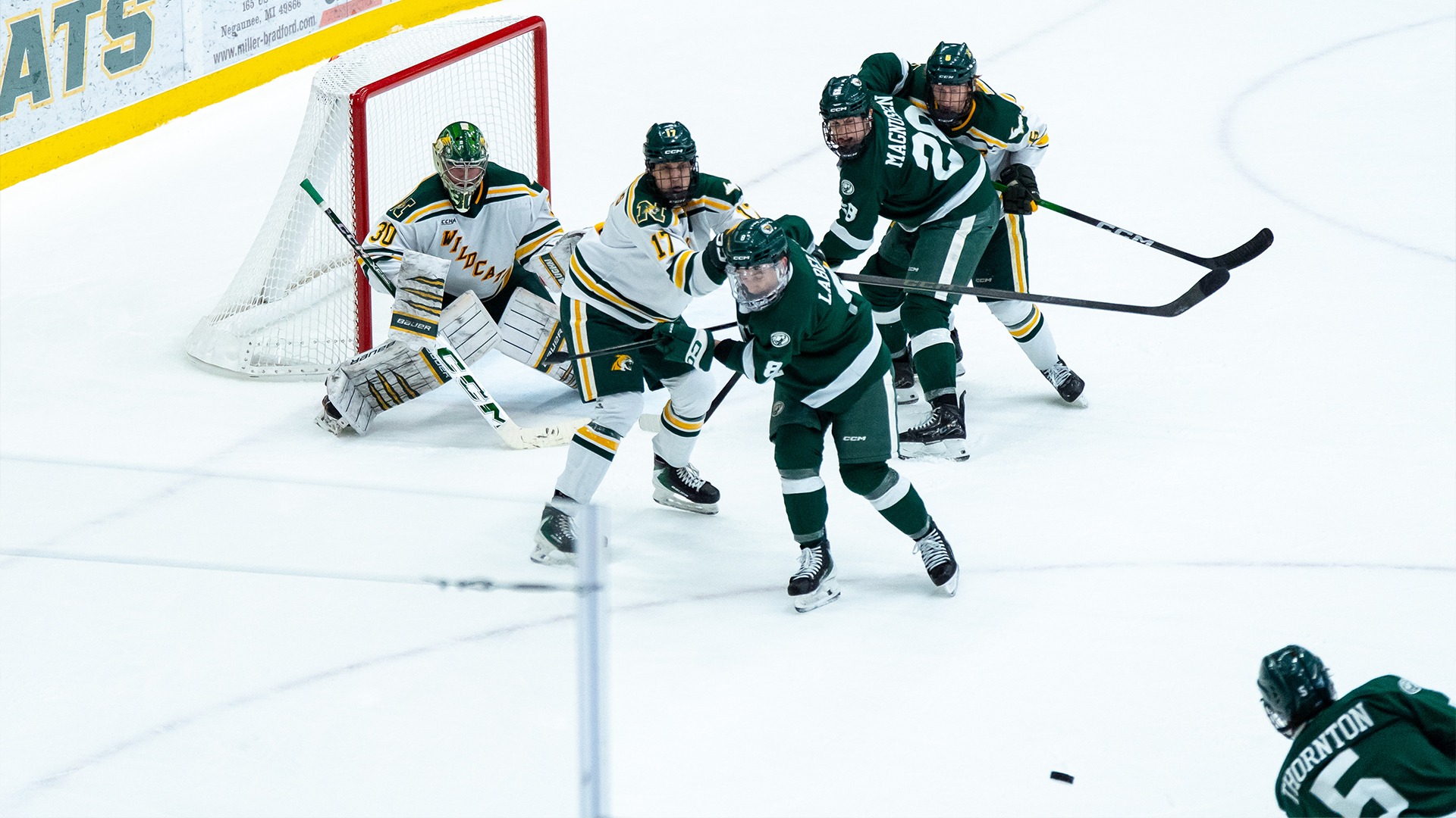 Oliver Auyeung-Ashton