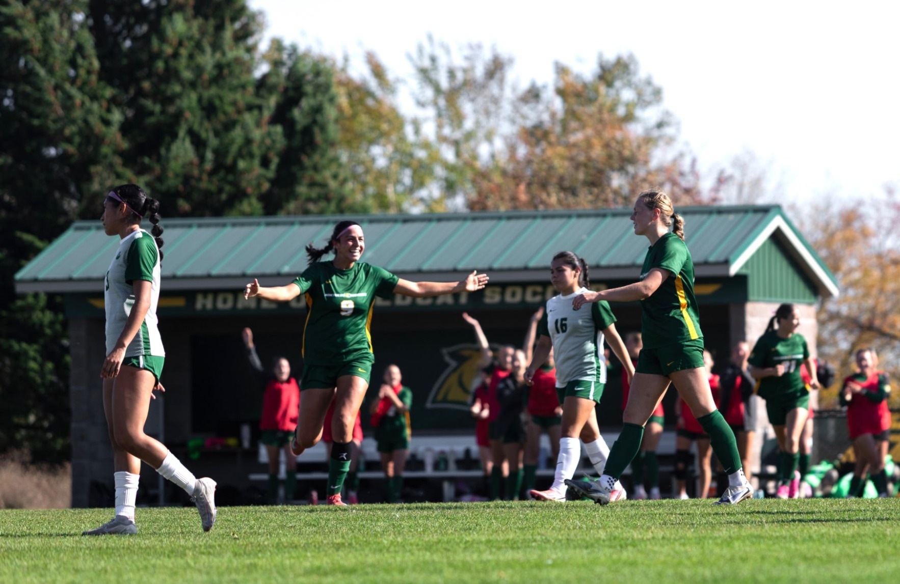 Celly v Roosevelt 10-11-26
