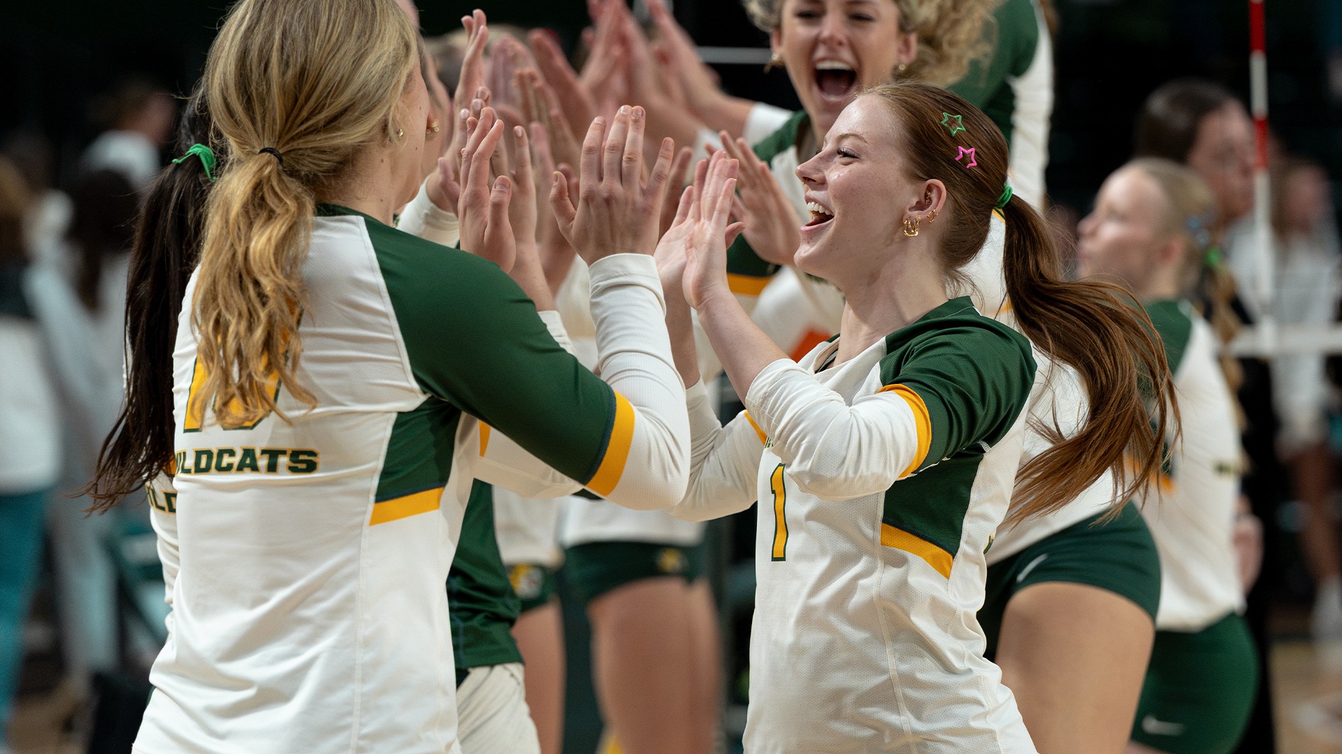 Volleyball high five line