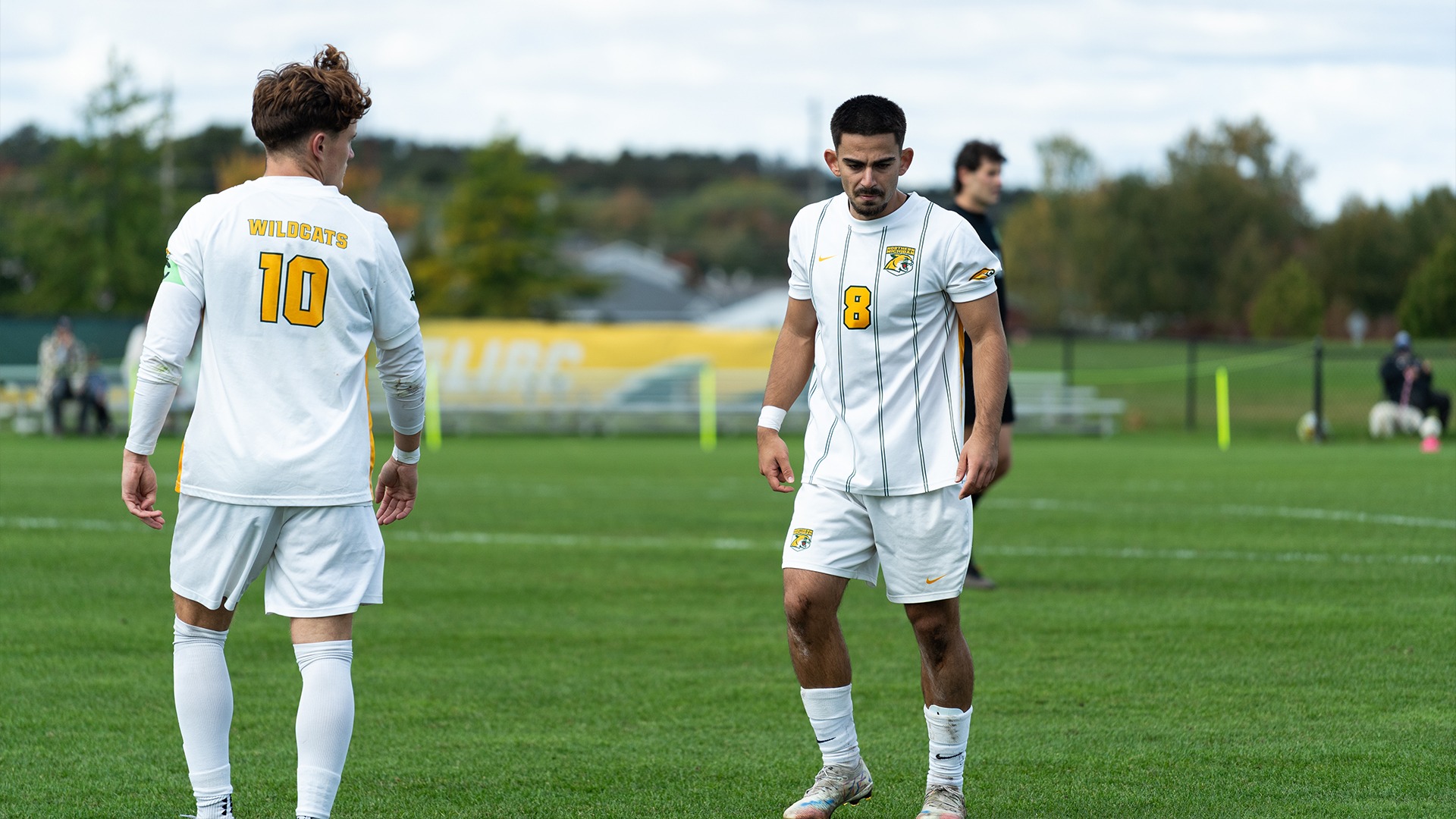 Xhoel Lutaj and Luca Rosen