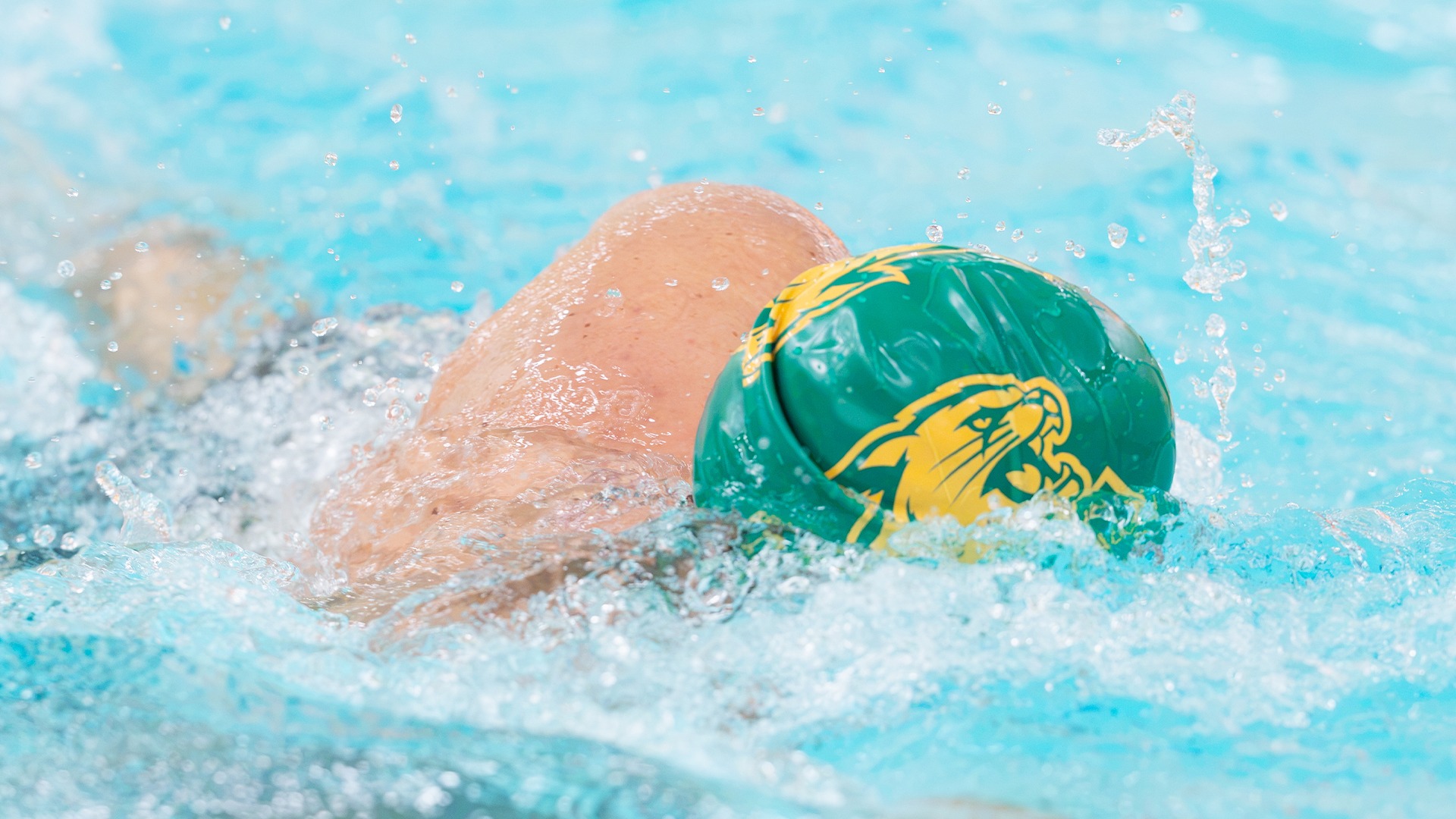 Swim and Dive