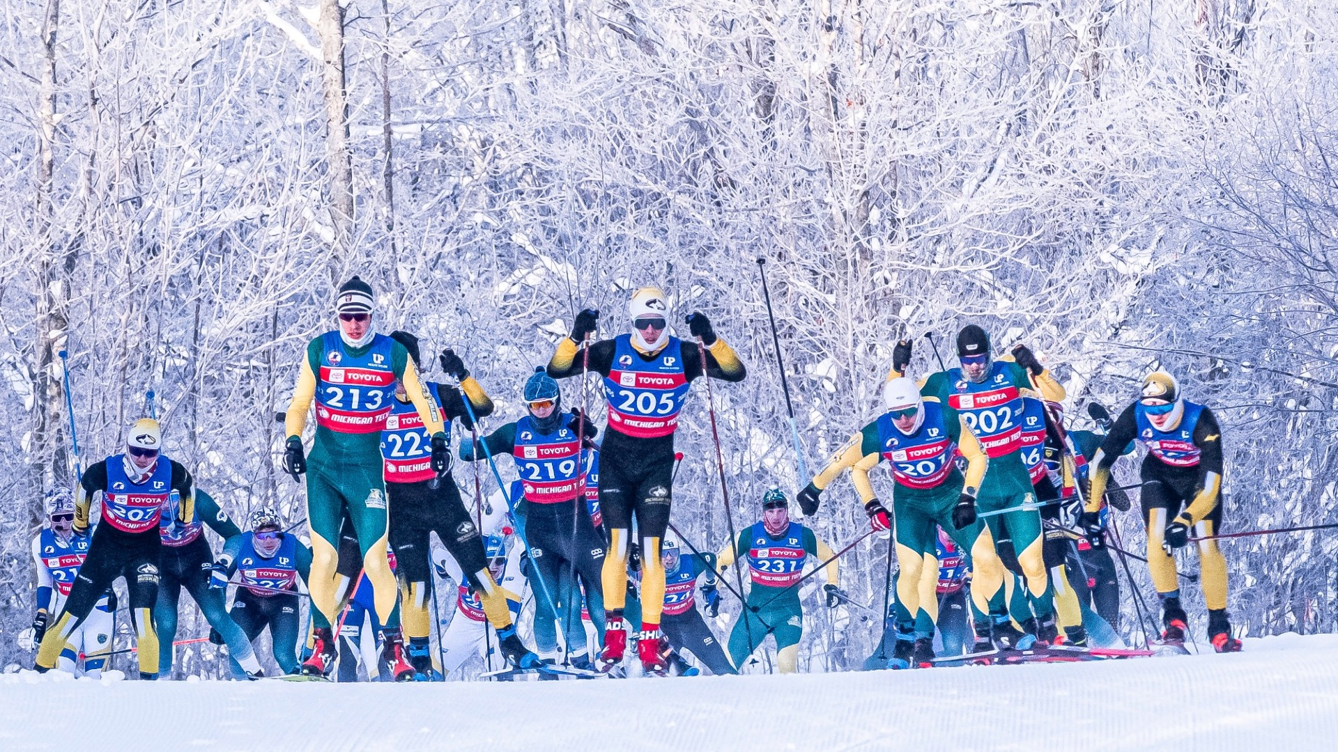 Nordic ski