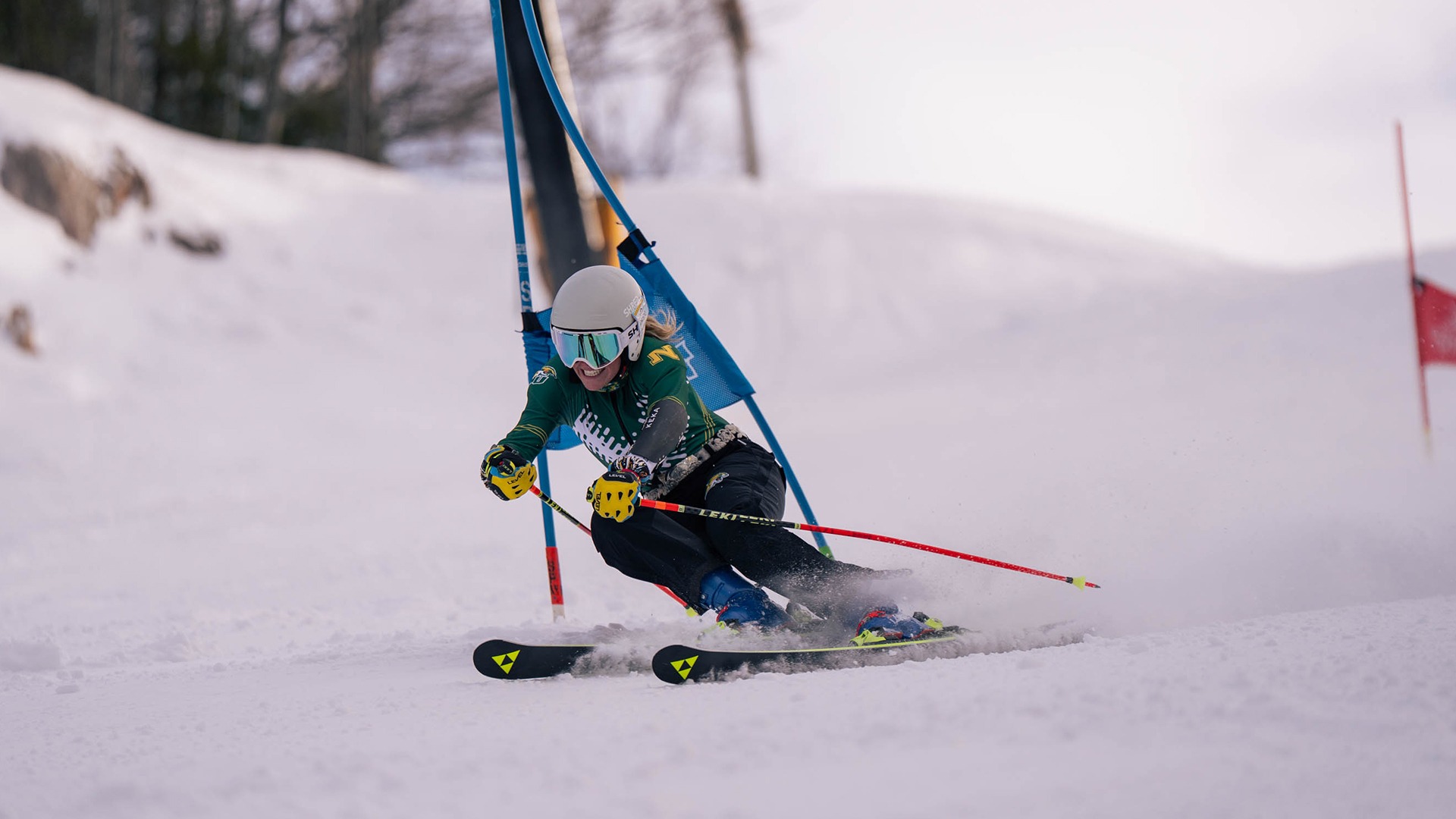 Alpine Skier