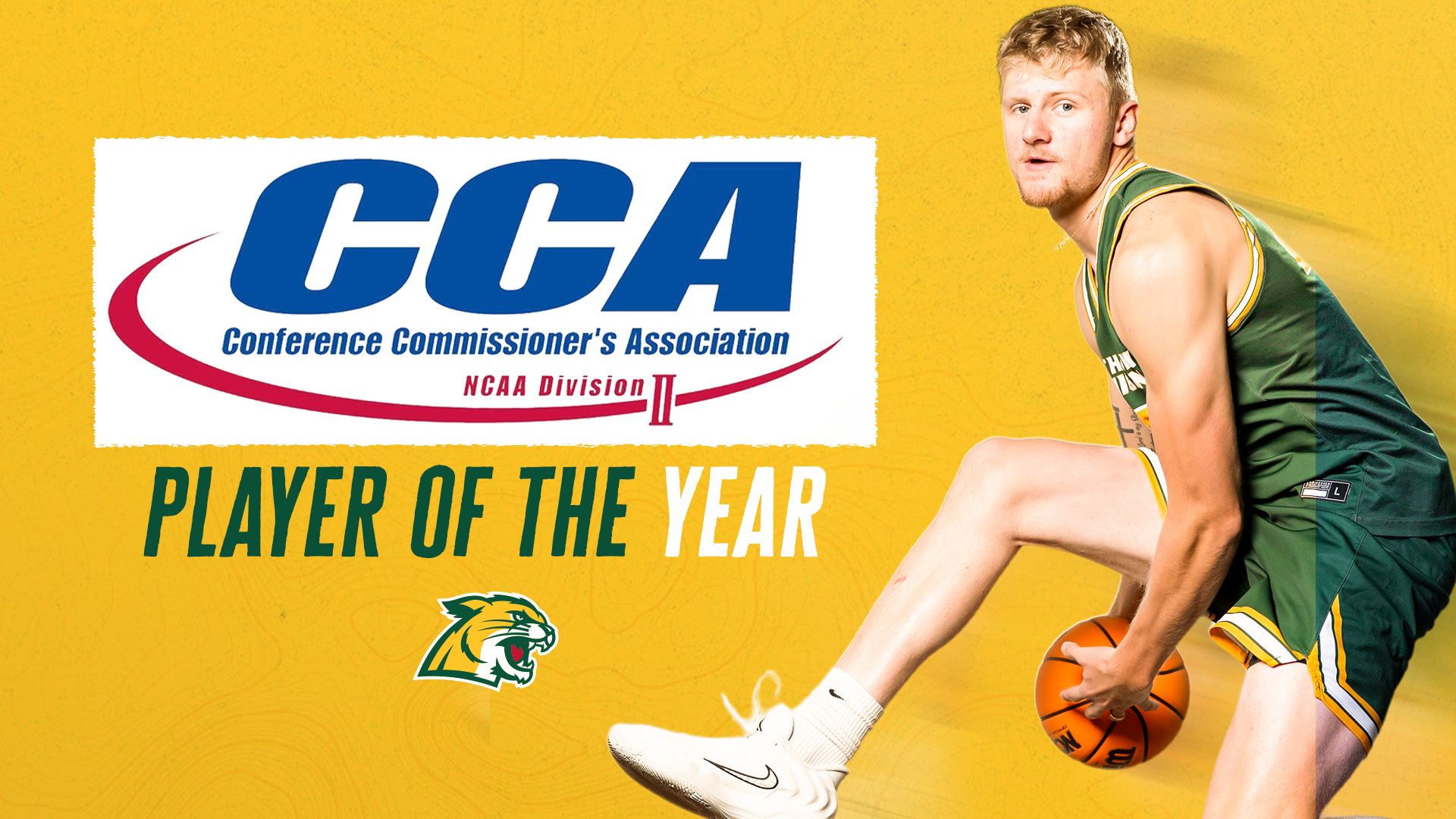 A player in a green jersey jumps with the basketball against a gold background. A logo reading 