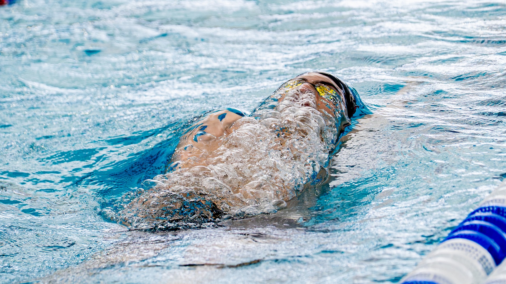 General Swimmer