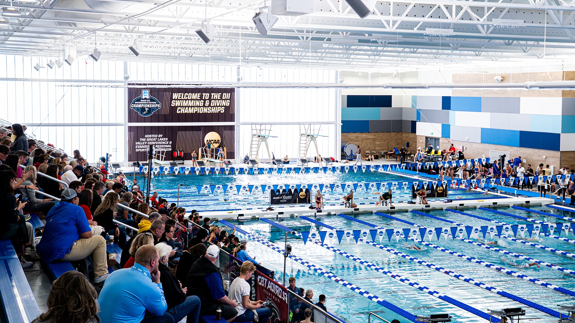 NCAA Swimming and Diving CHampionship