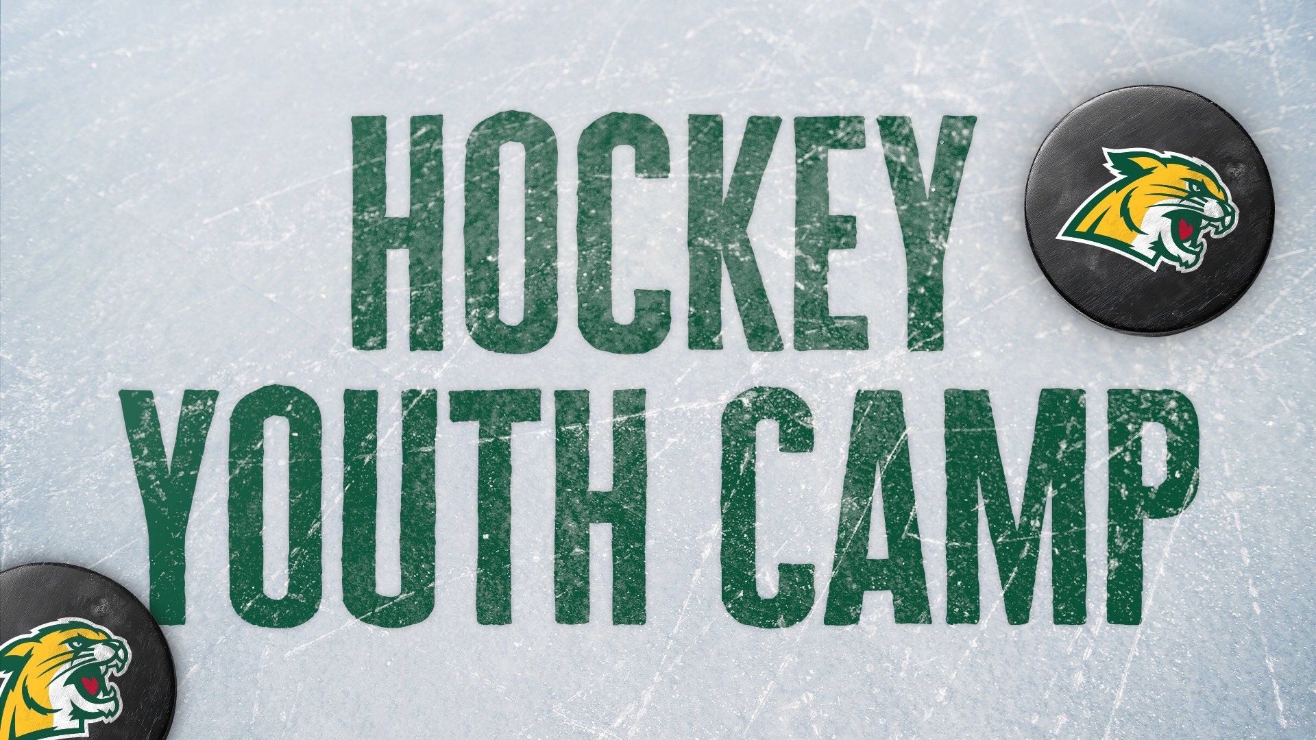 Hockey Youth Camp