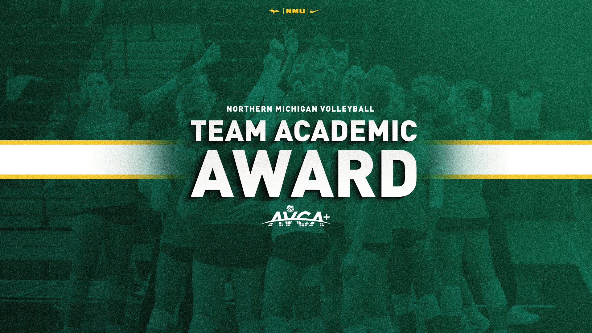 AVCA Award