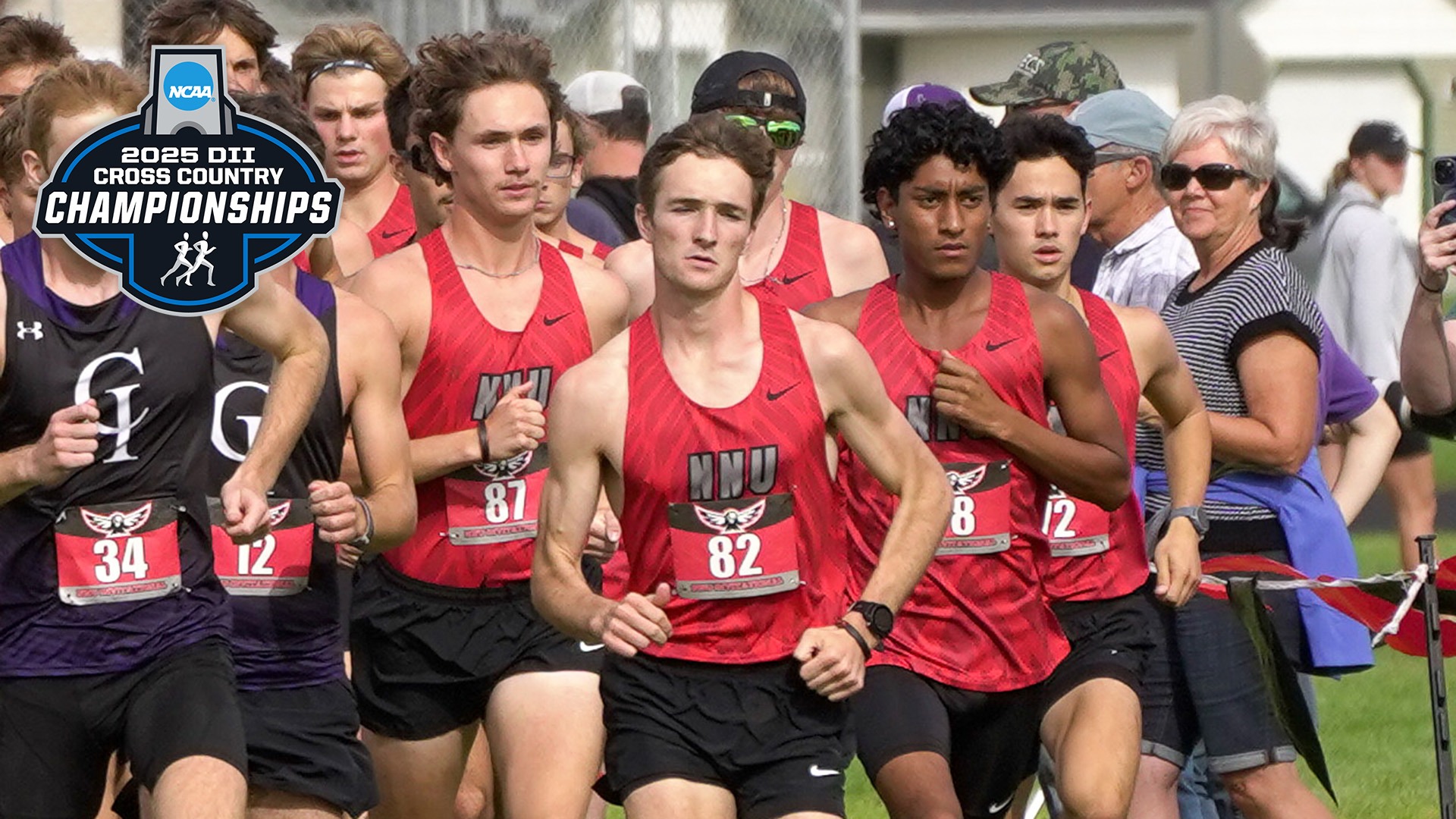 xc-preview