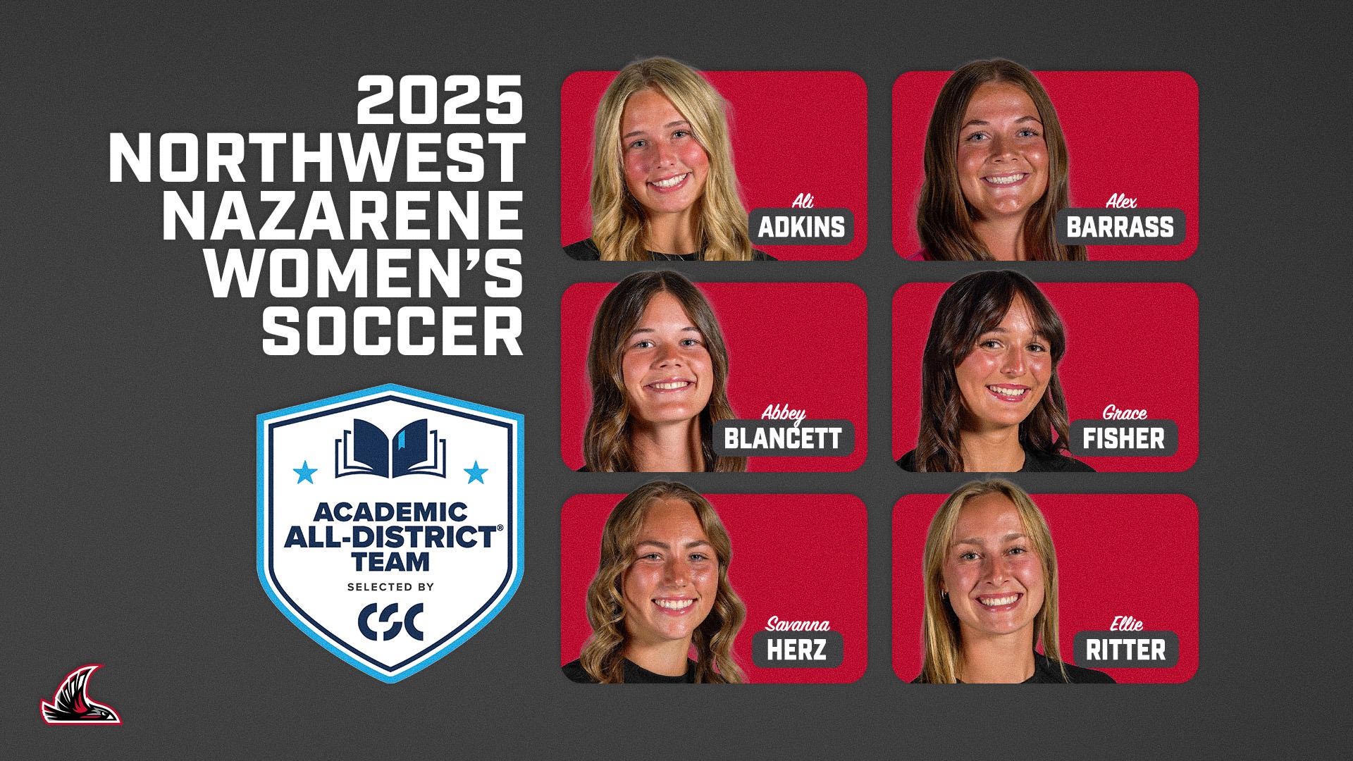 wsoc-CSCad