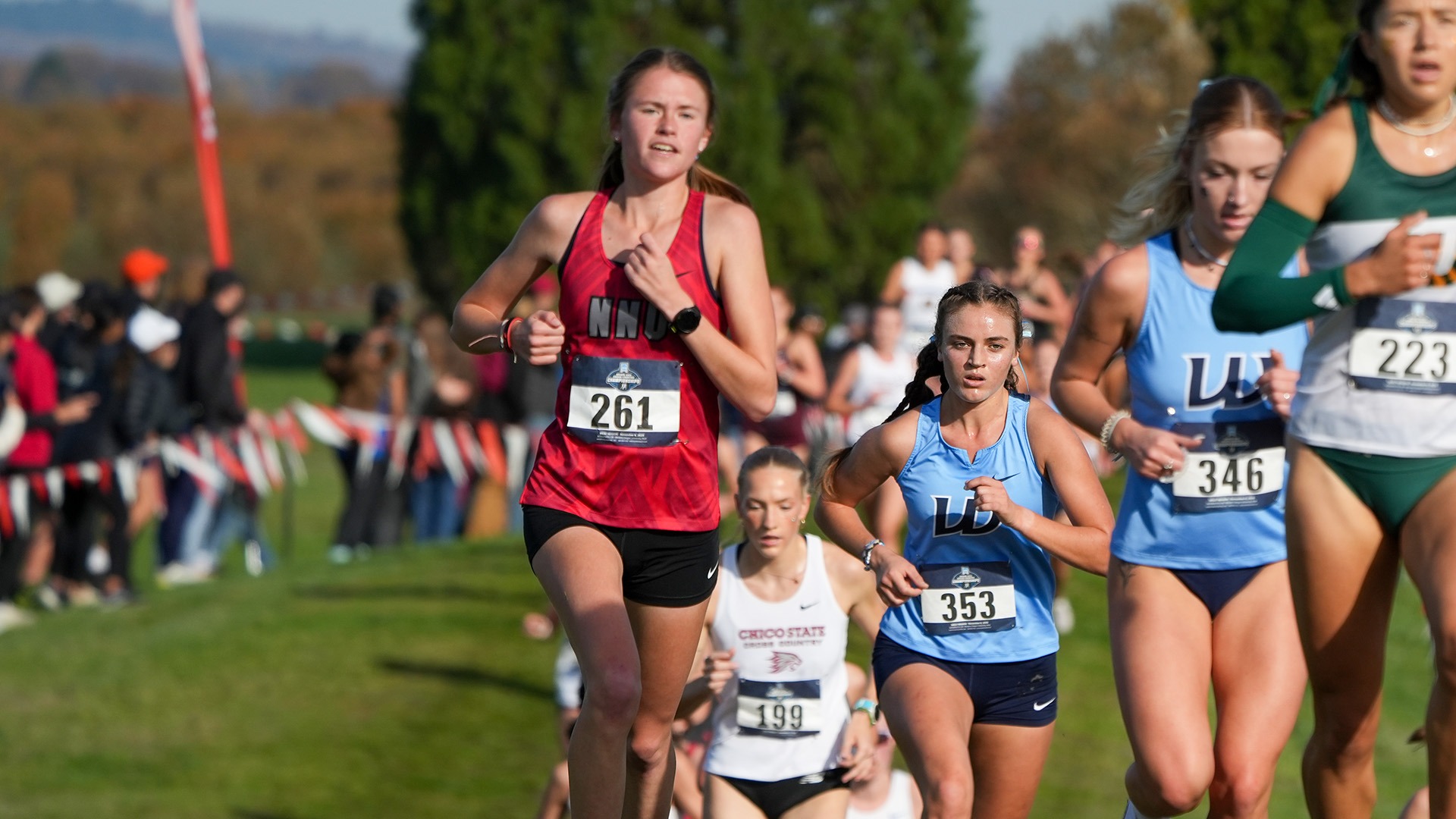 wxc-11-8