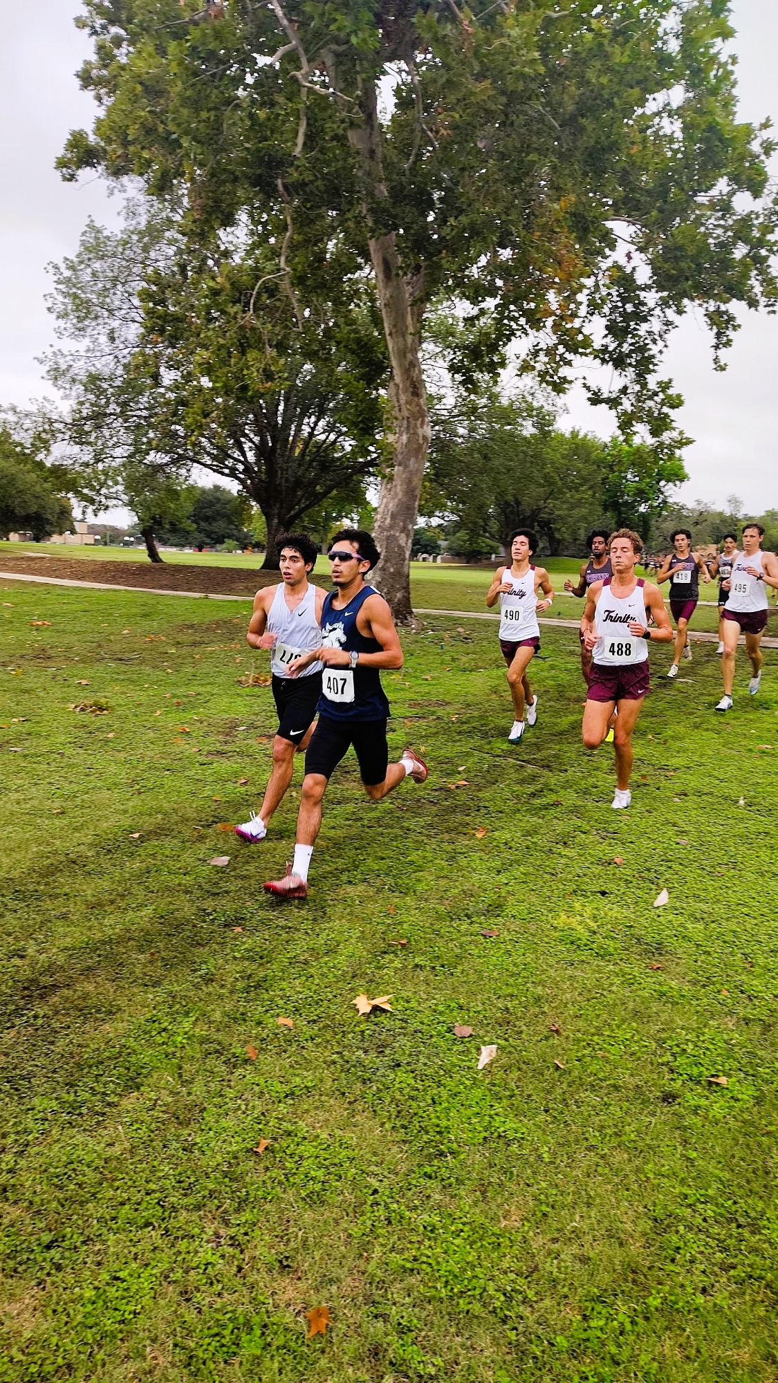 XC OLLU 2026