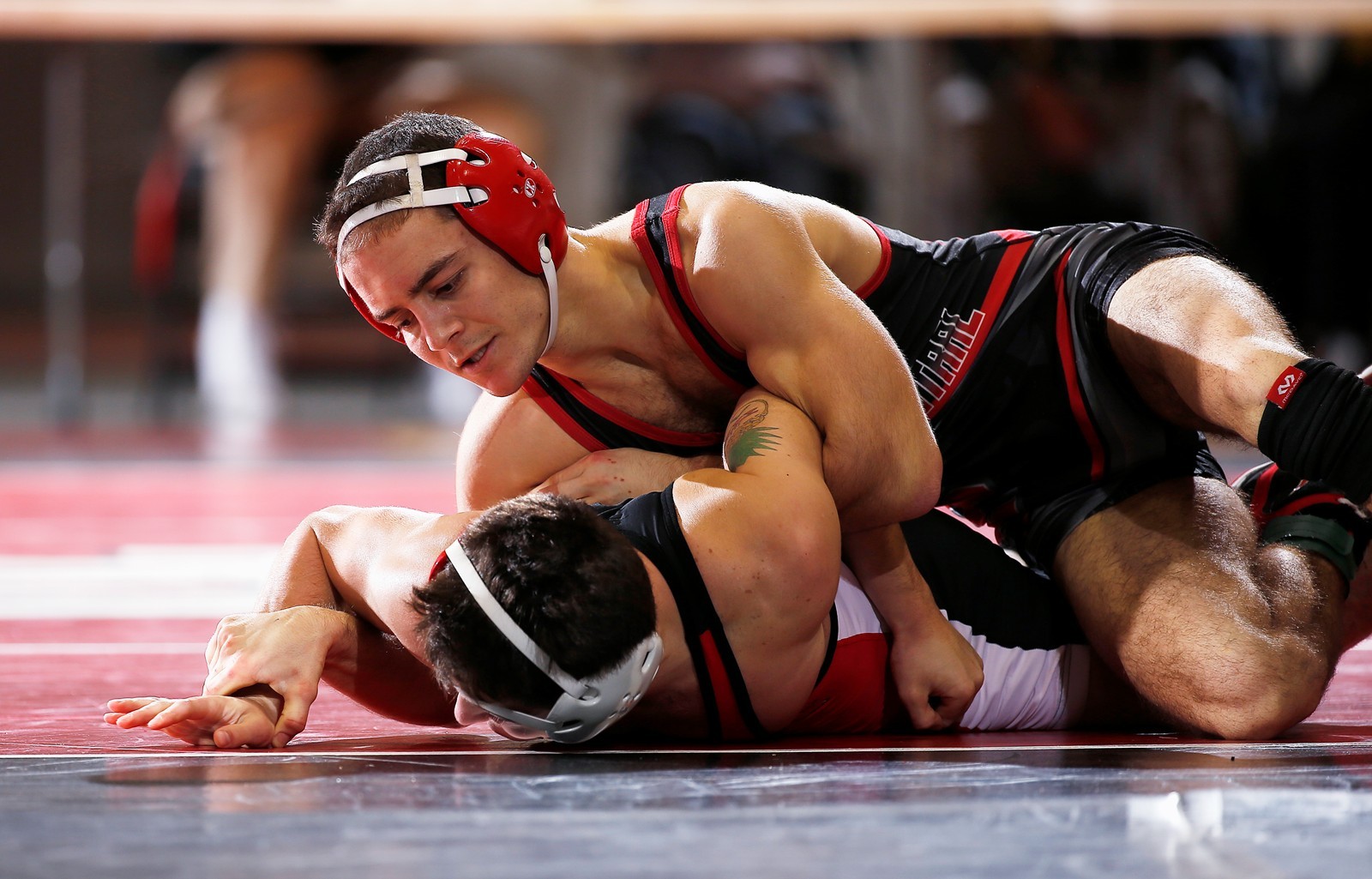 Brad Martens Men's Wrestling North Central College Athletics