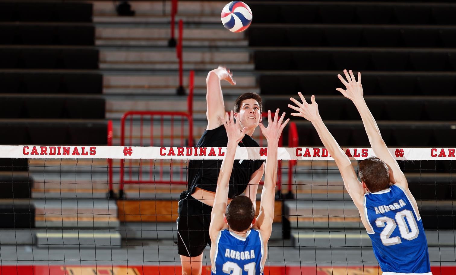 Nick Lilley Men's Volleyball North Central College Athletics