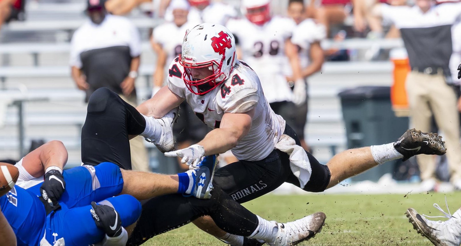 Spenser Eversole Football North Central College Athletics