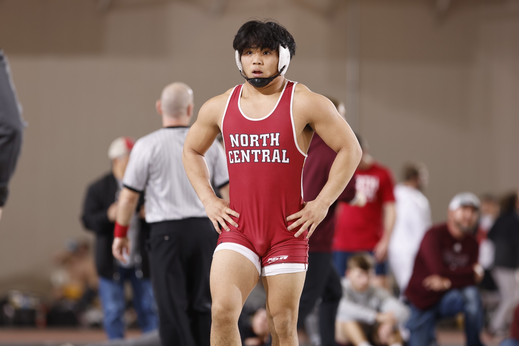 Jared Gumila Men's Wrestling North Central College Athletics