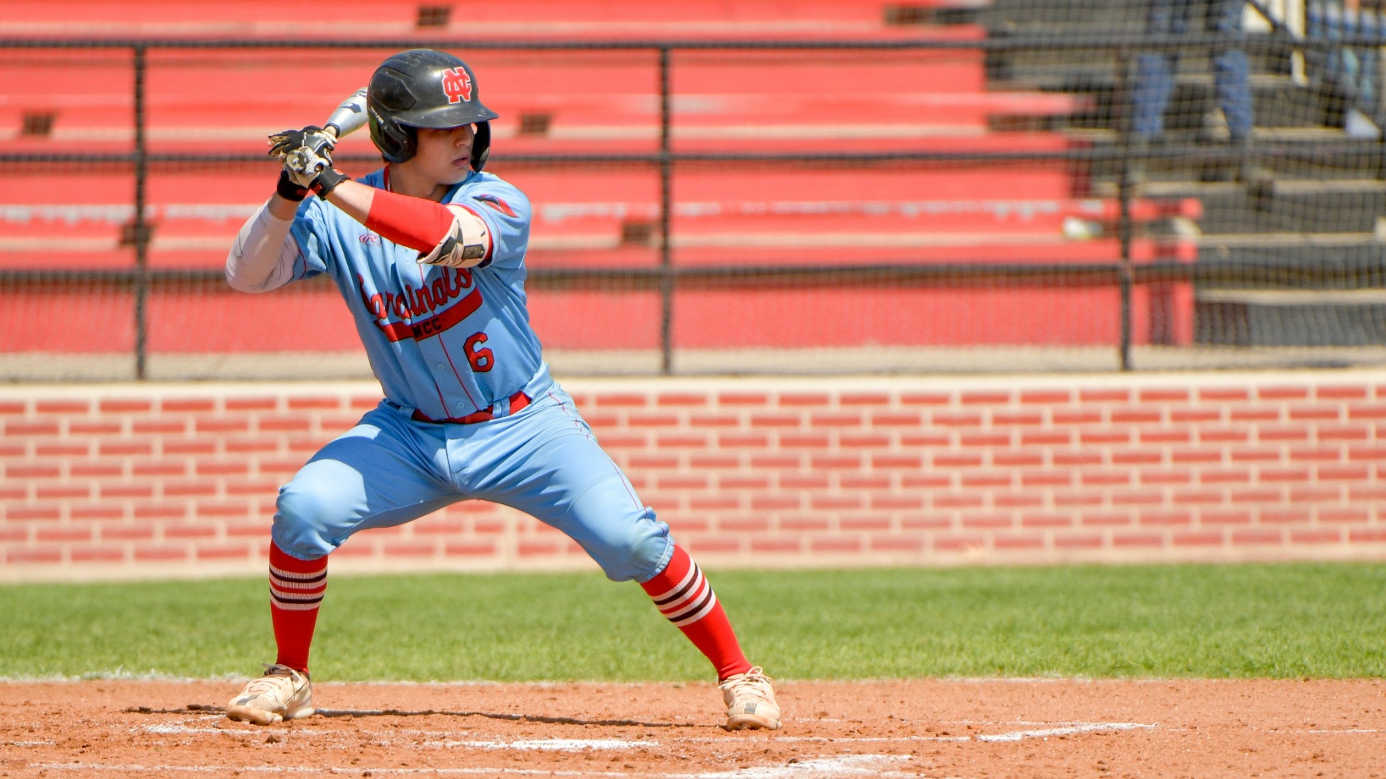 Michael Davis Baseball North Central College Athletics