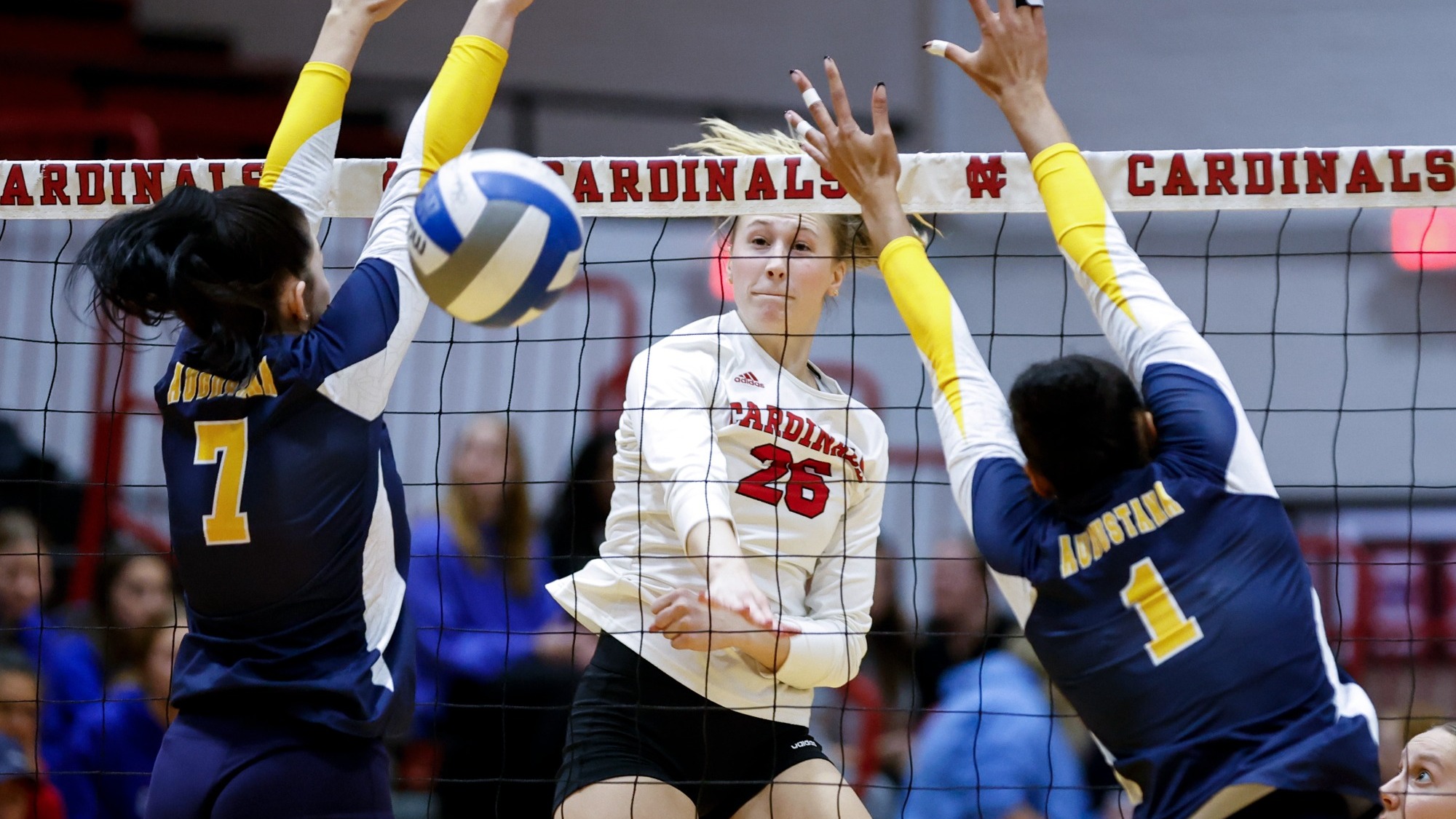 Danni Moser hitting a volleyball over the net