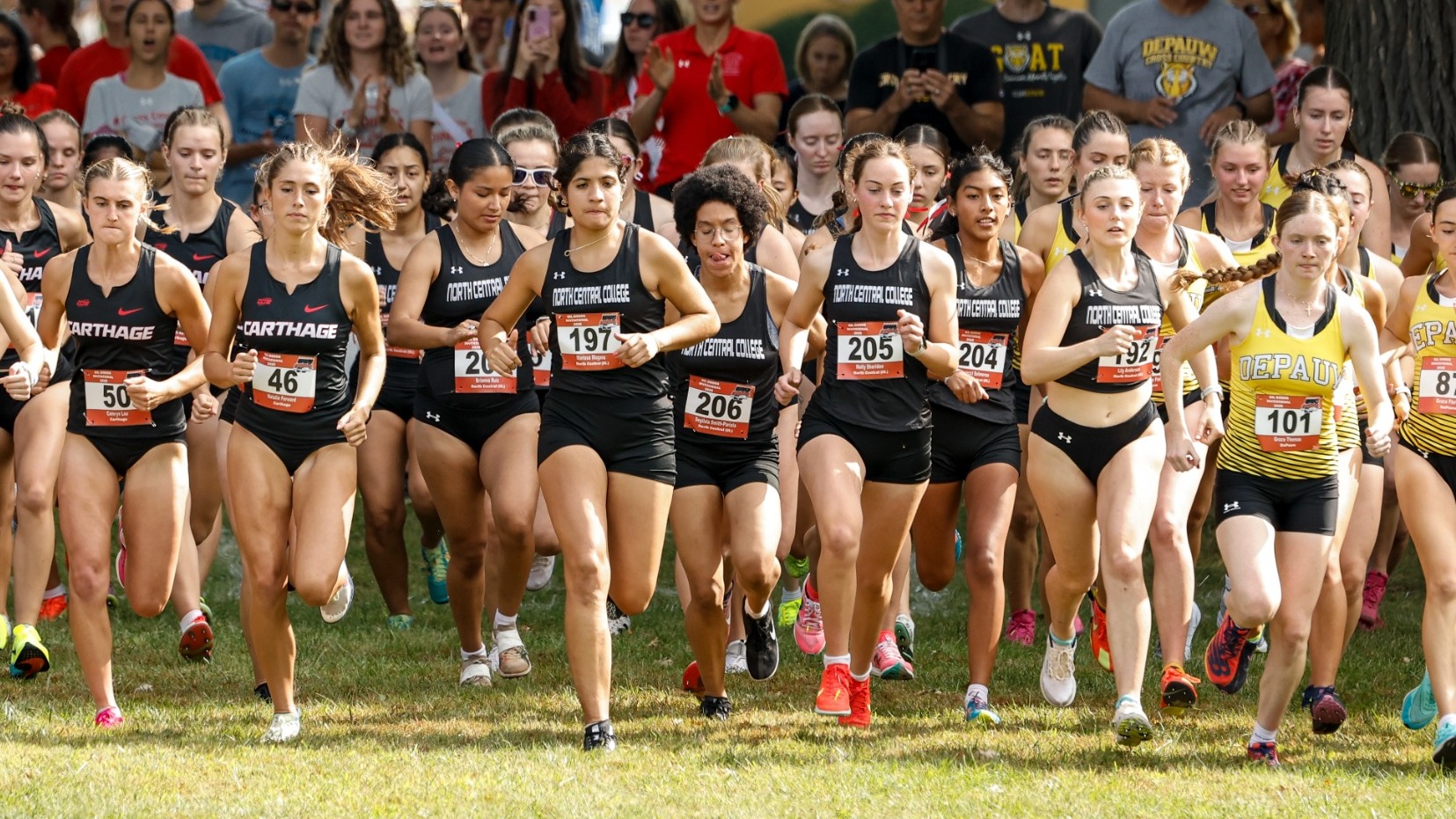 Women's Cross Country breaks from the startline at Gil Dodds Invitational