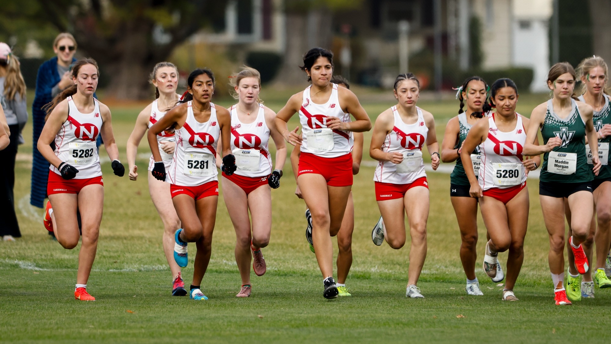 Women's Cross Country starting the CCIW Championships