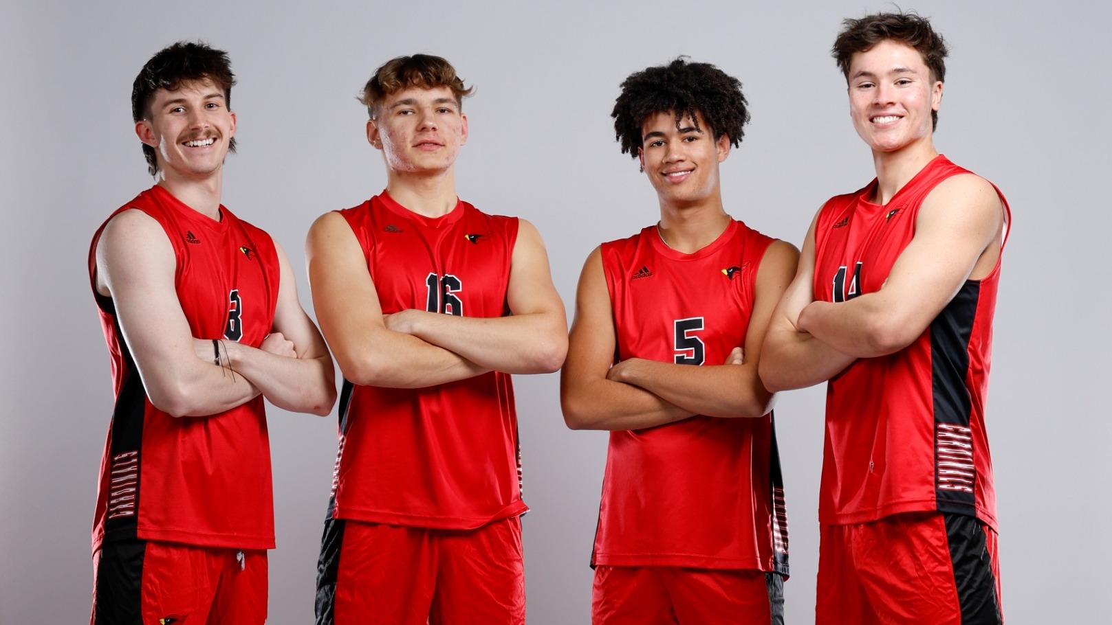 Four men's volleyball players face the camera with arms crossed smiling
