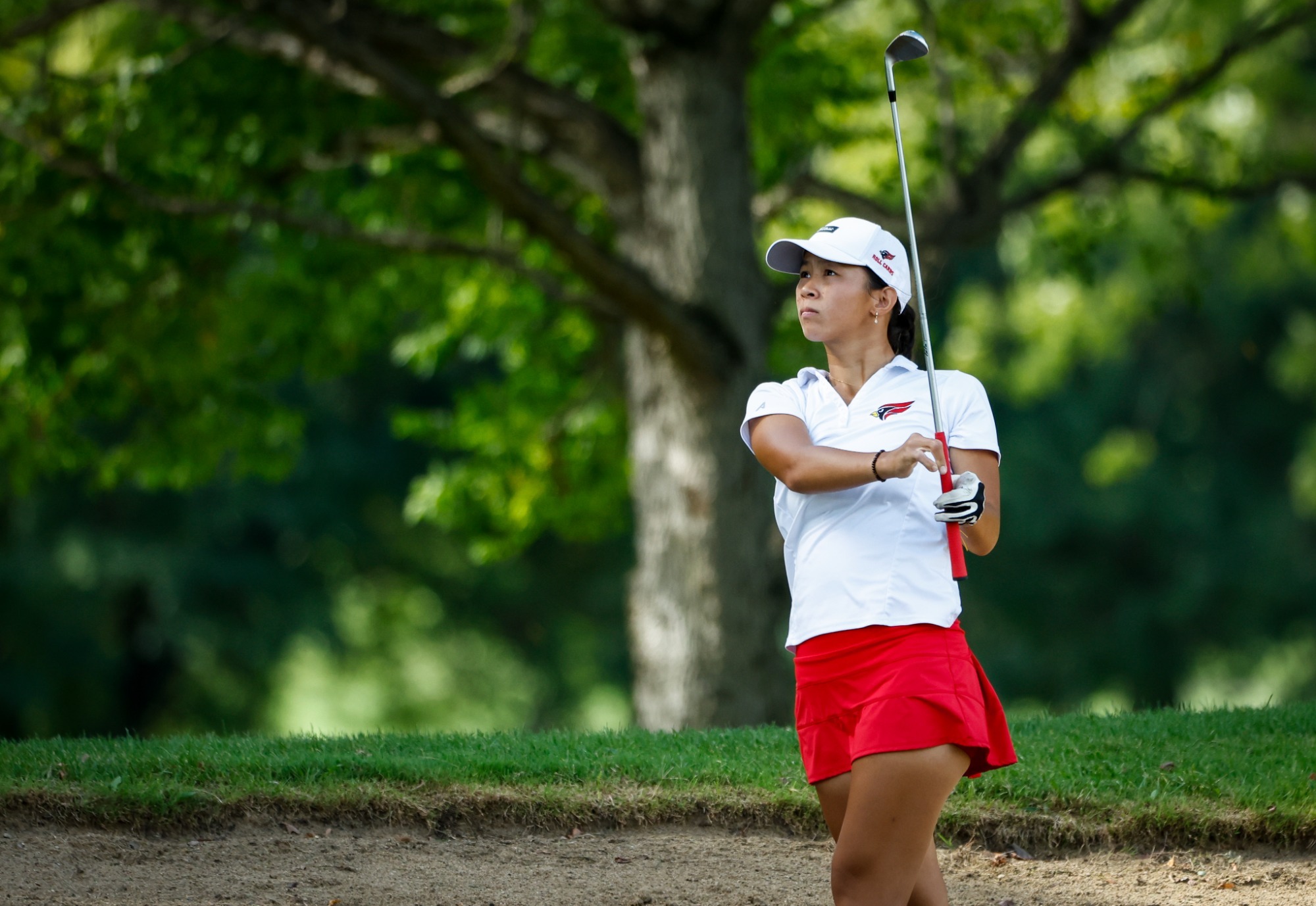 Anna Meinhart Shot Out of First Cut