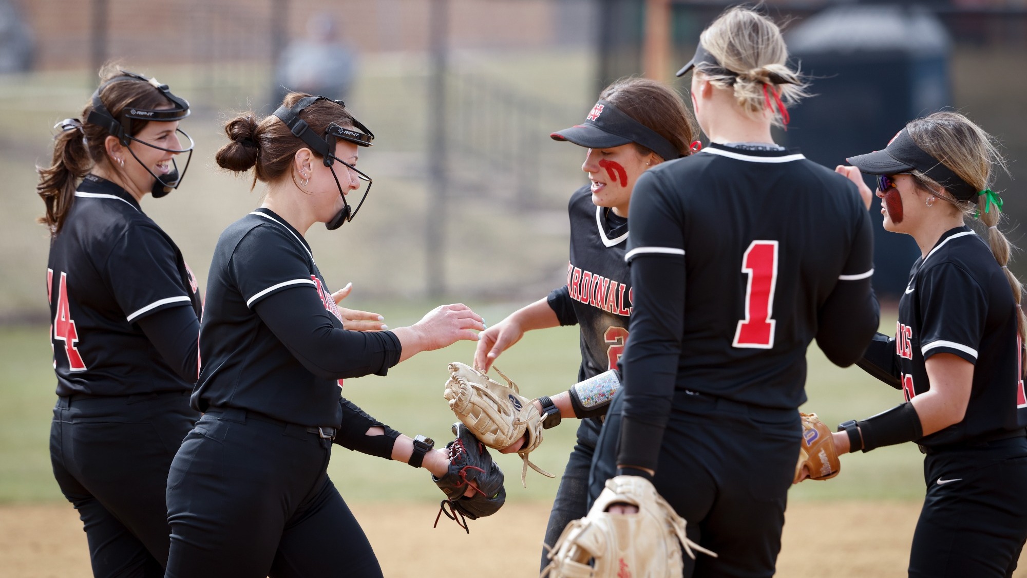 NCC Softball in a team huddle
