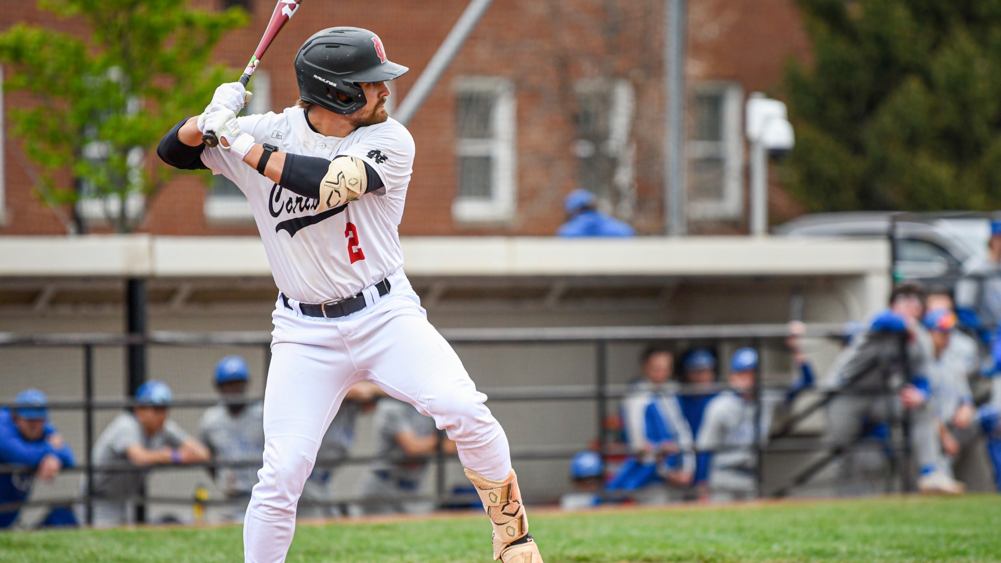 Peyton Burgh getting ready to swing the baseball bat