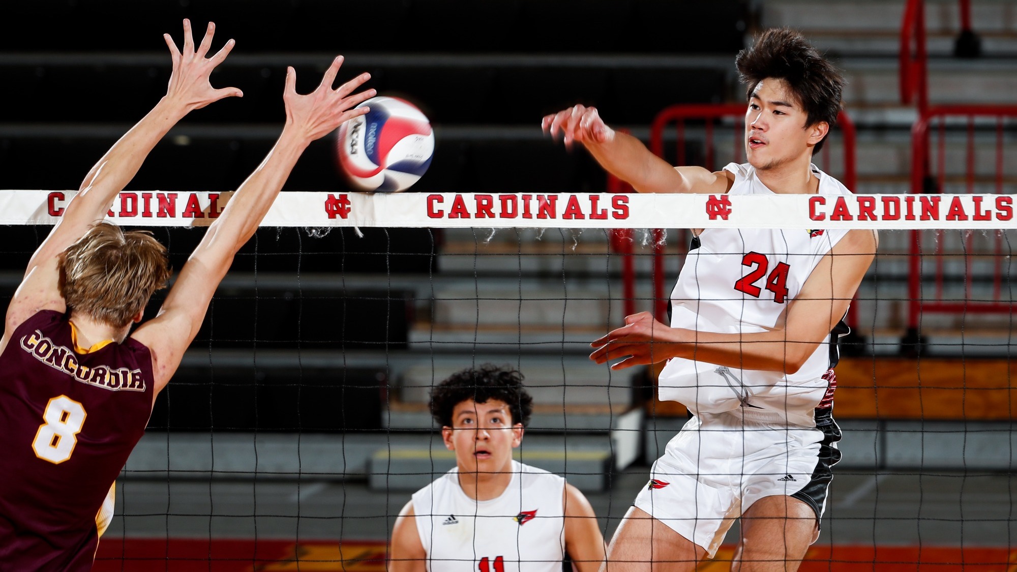 Chris Mactal spiking the volleyball over the net vs Concordia Chicago