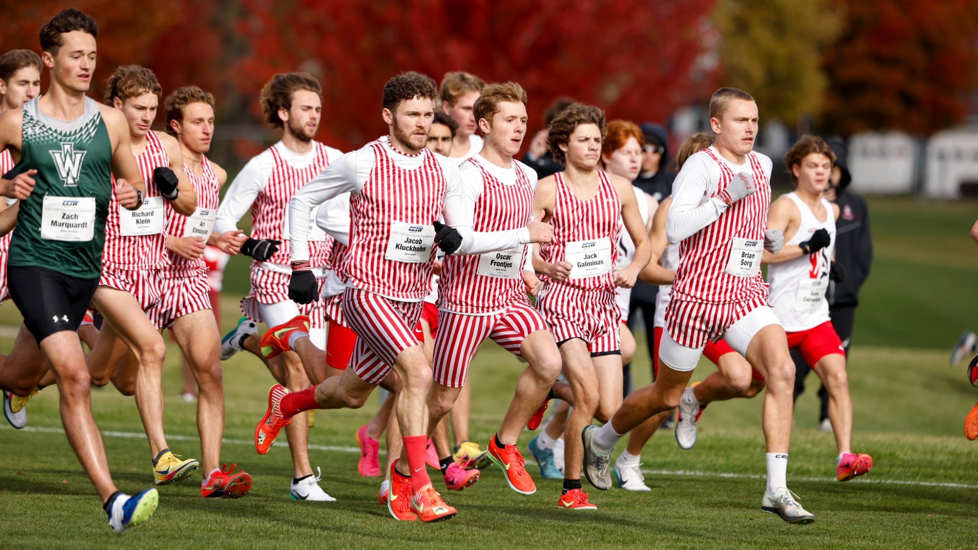 Men's cross country team breaking from startline at CCIW Championships