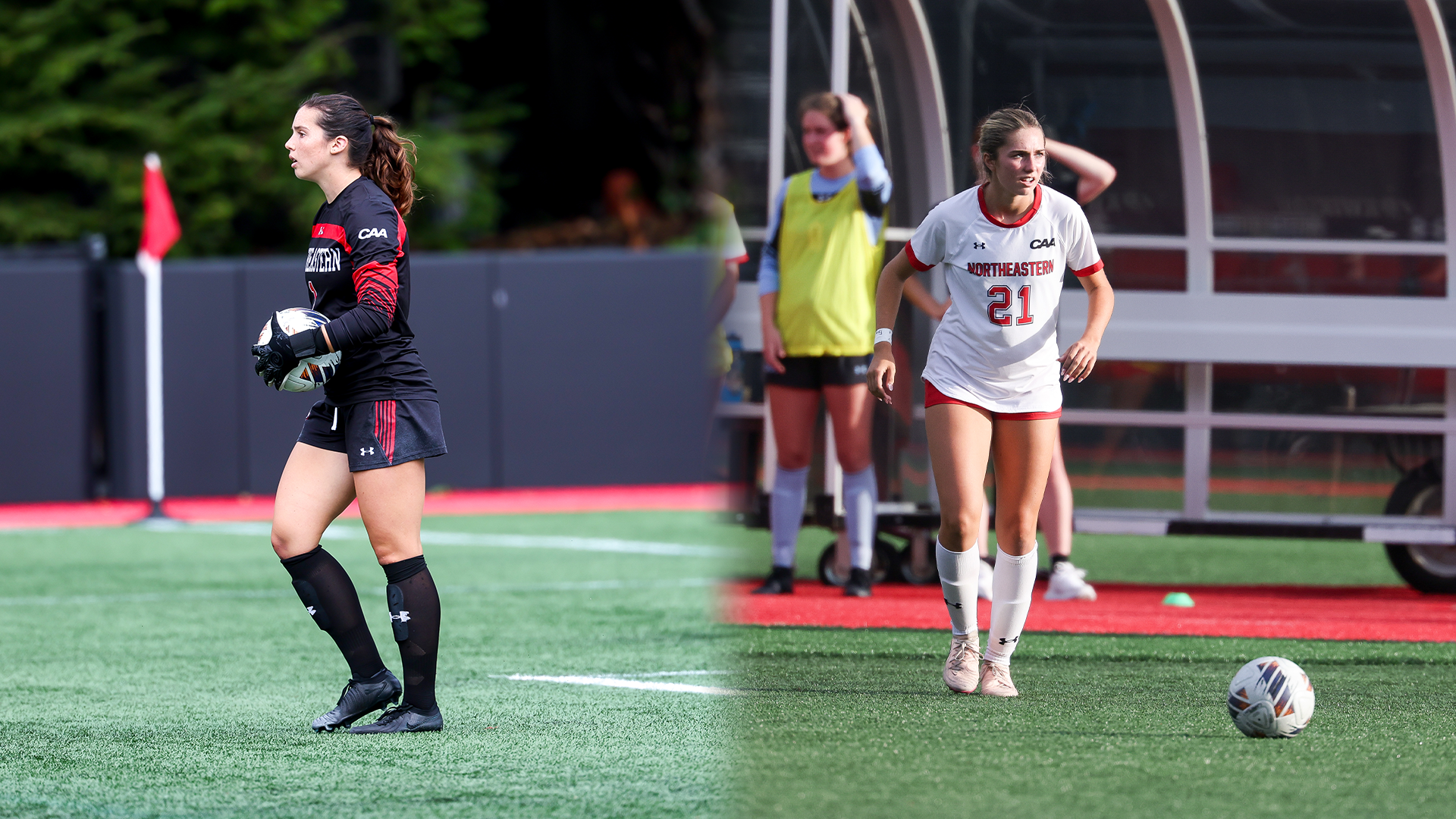 Teplow and Gialanella