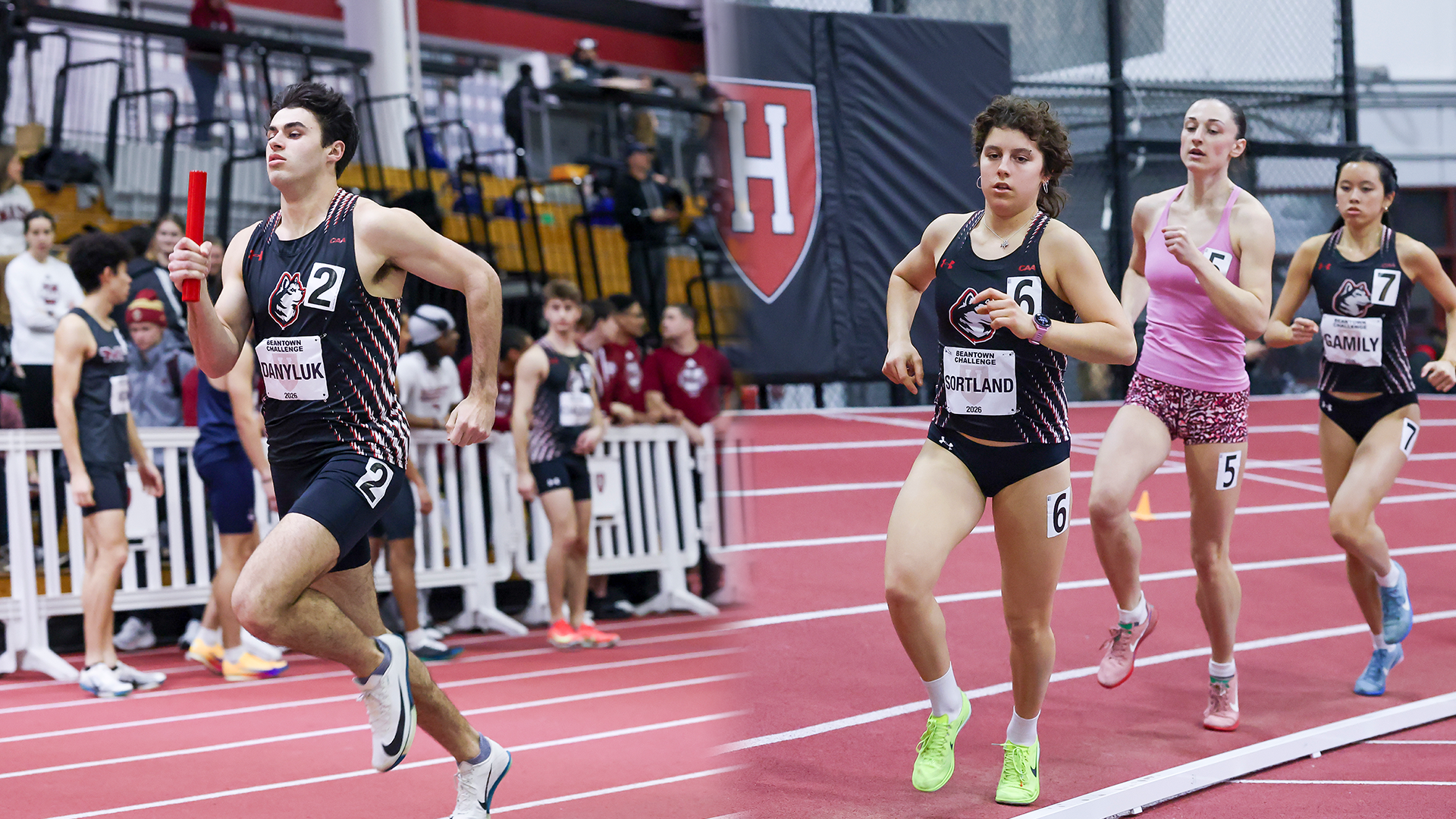 Danyluk and Sortland