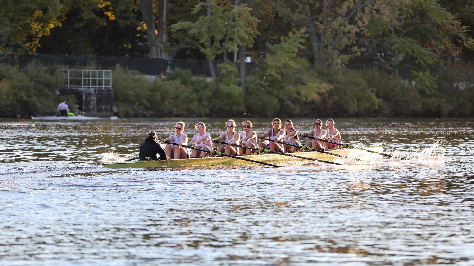 WROW HOCR Preview
